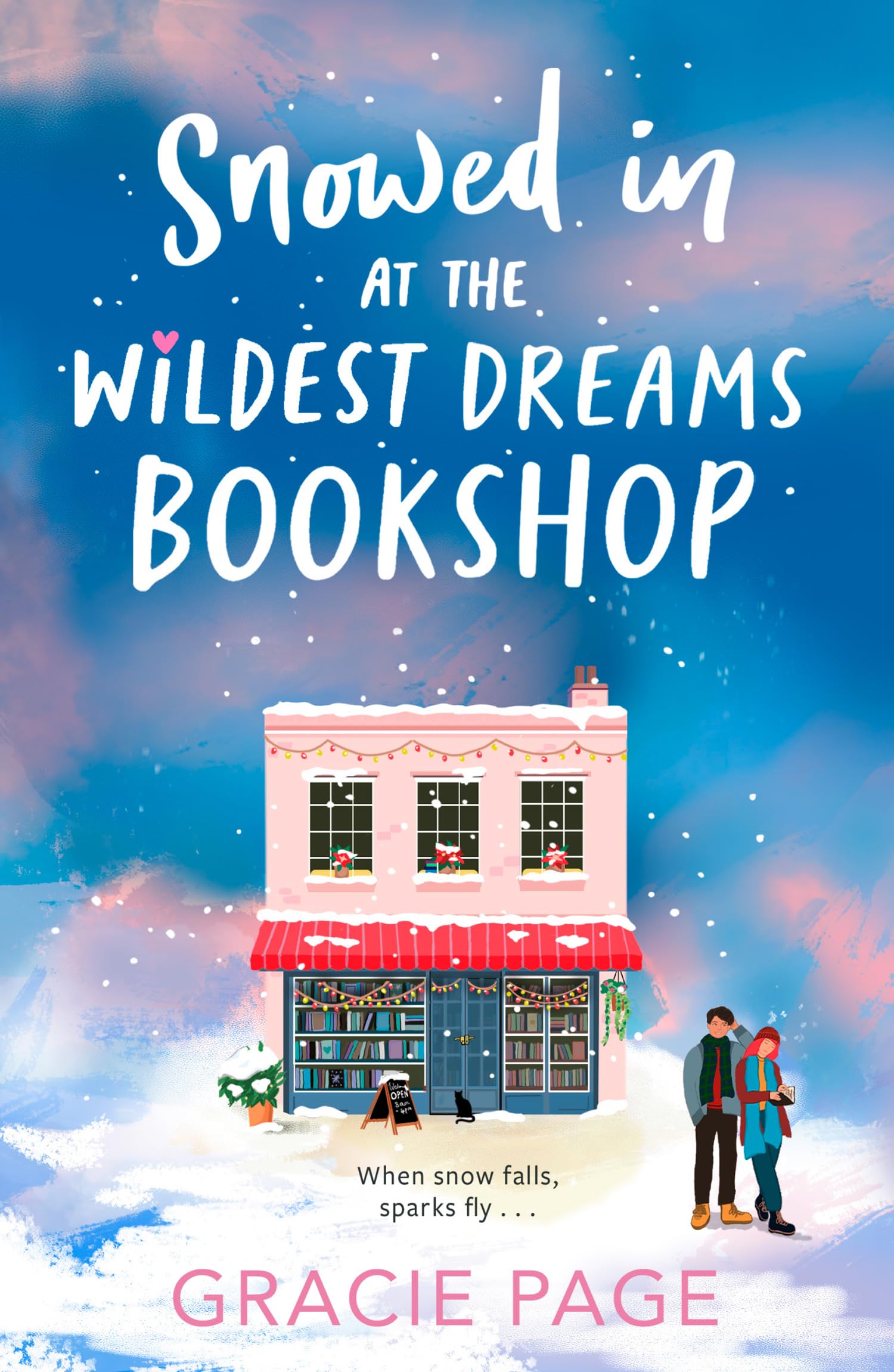 Snowed in at the Wildest Dreams Bookshop Fiction