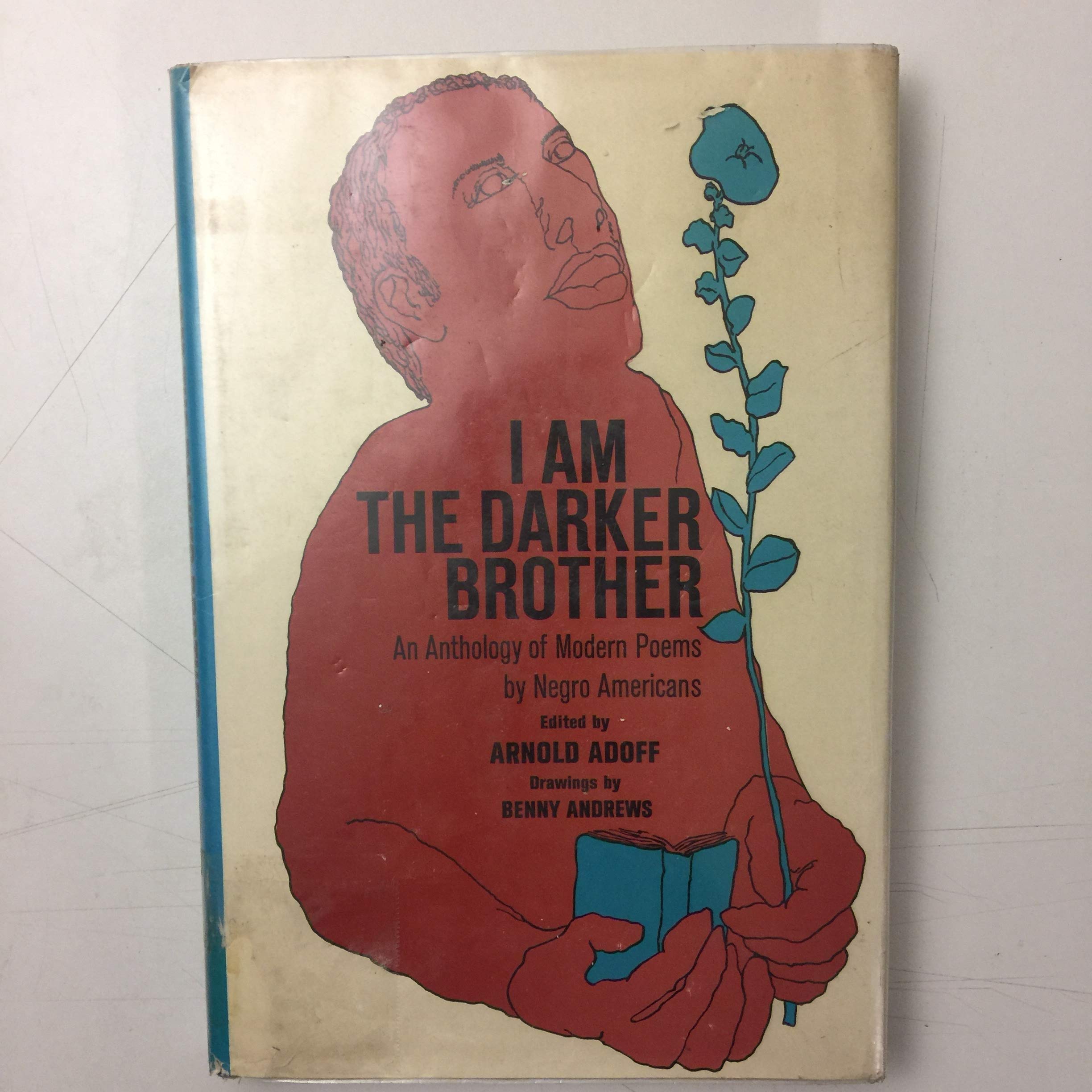 I Am the Darker Brother an Anthology of Modern Poe book