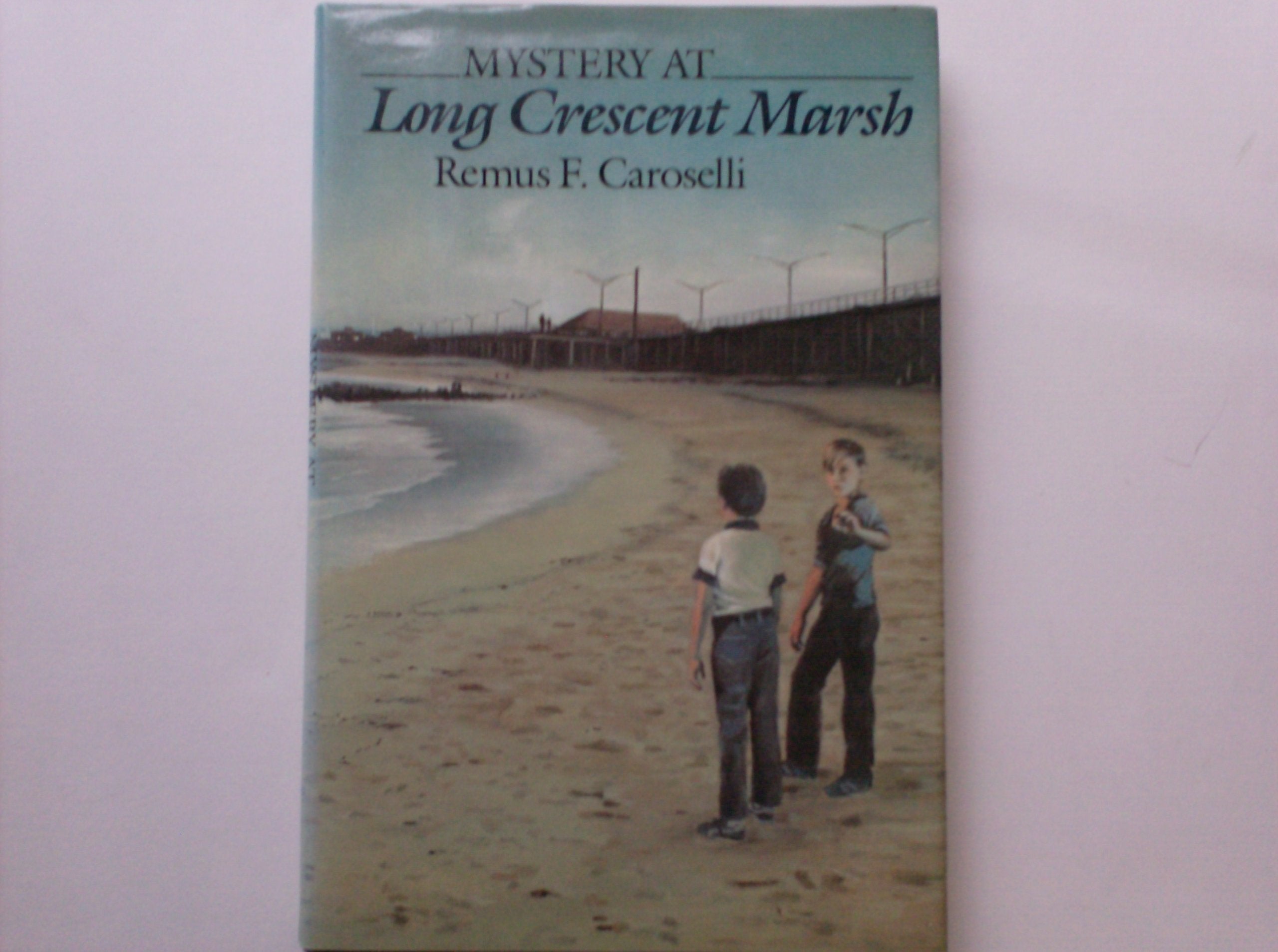 Mystery at Long Crescent Marsh book