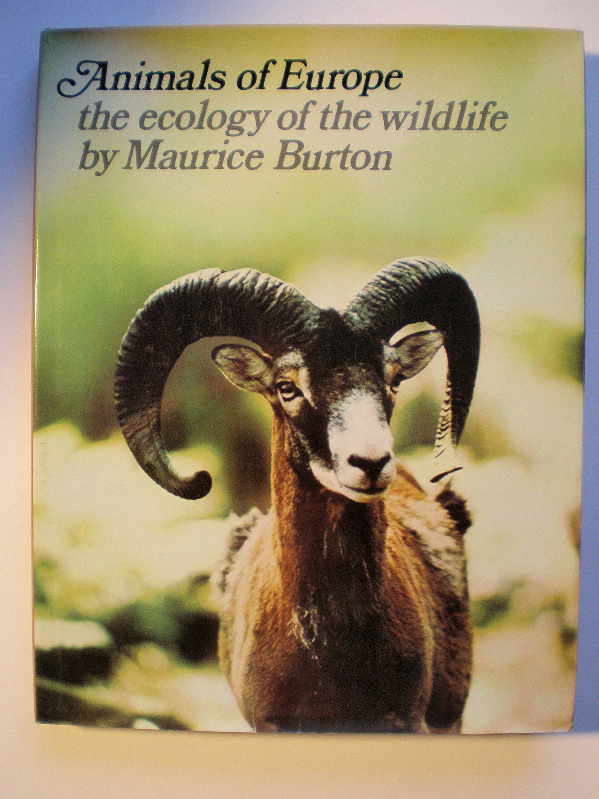 ANIMALS OF EUROPE book