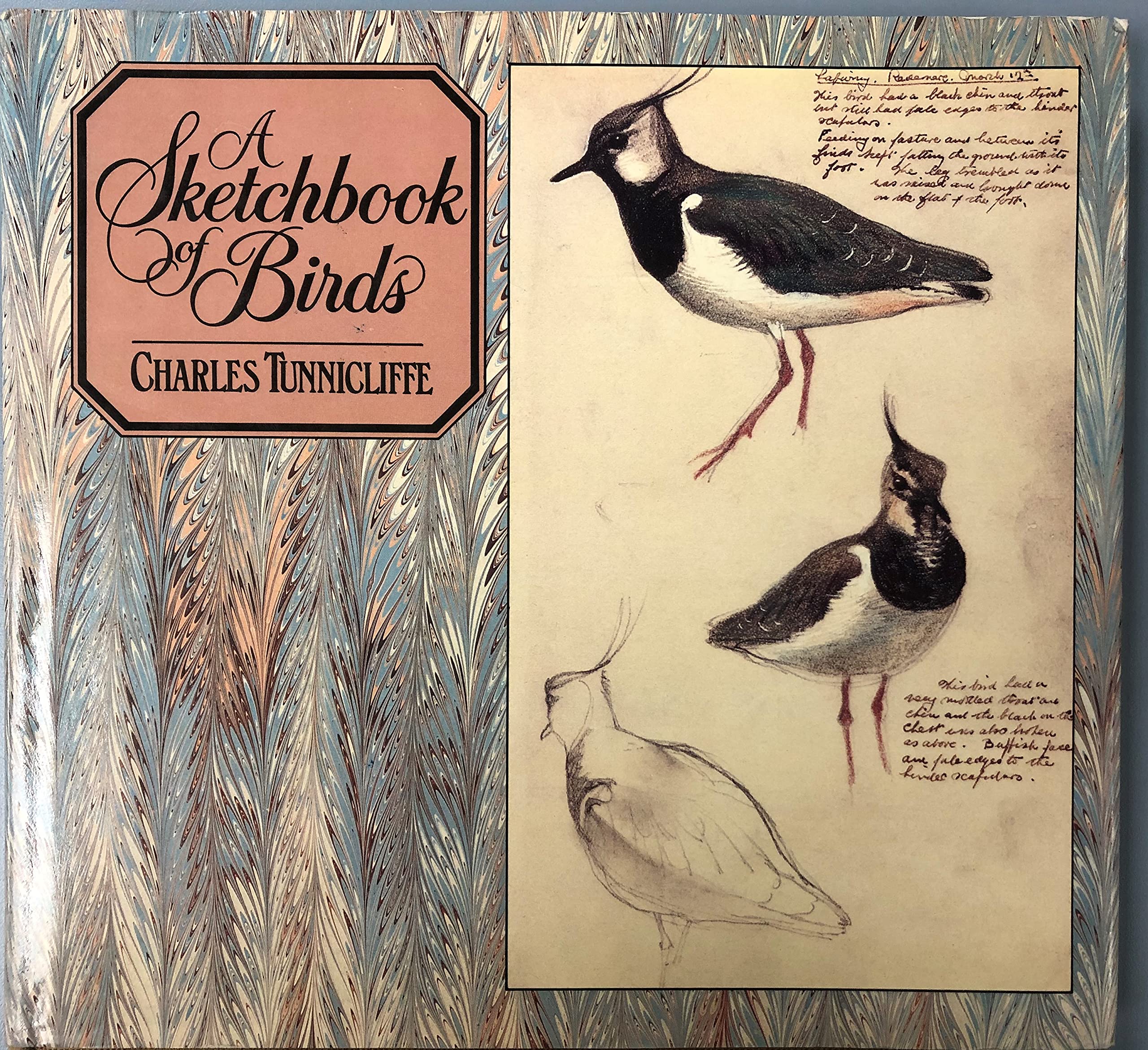 A Sketchbook of Birds Business & Technology