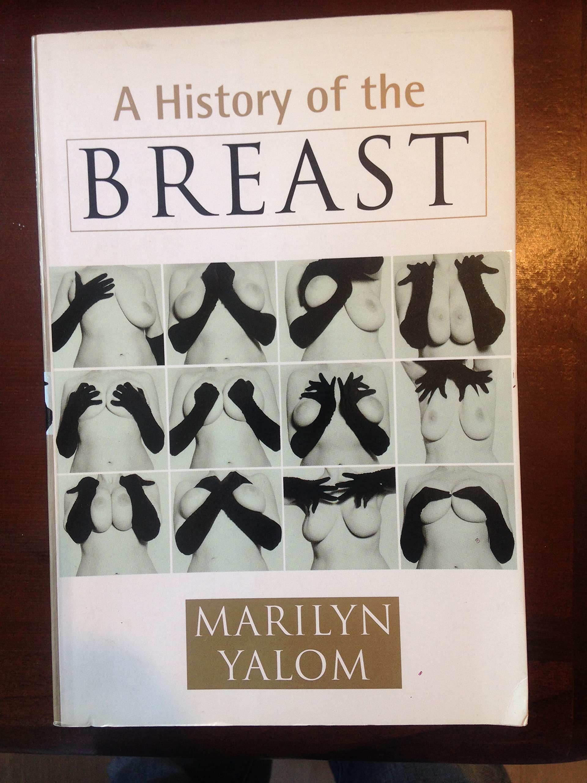 History of the Breast Books