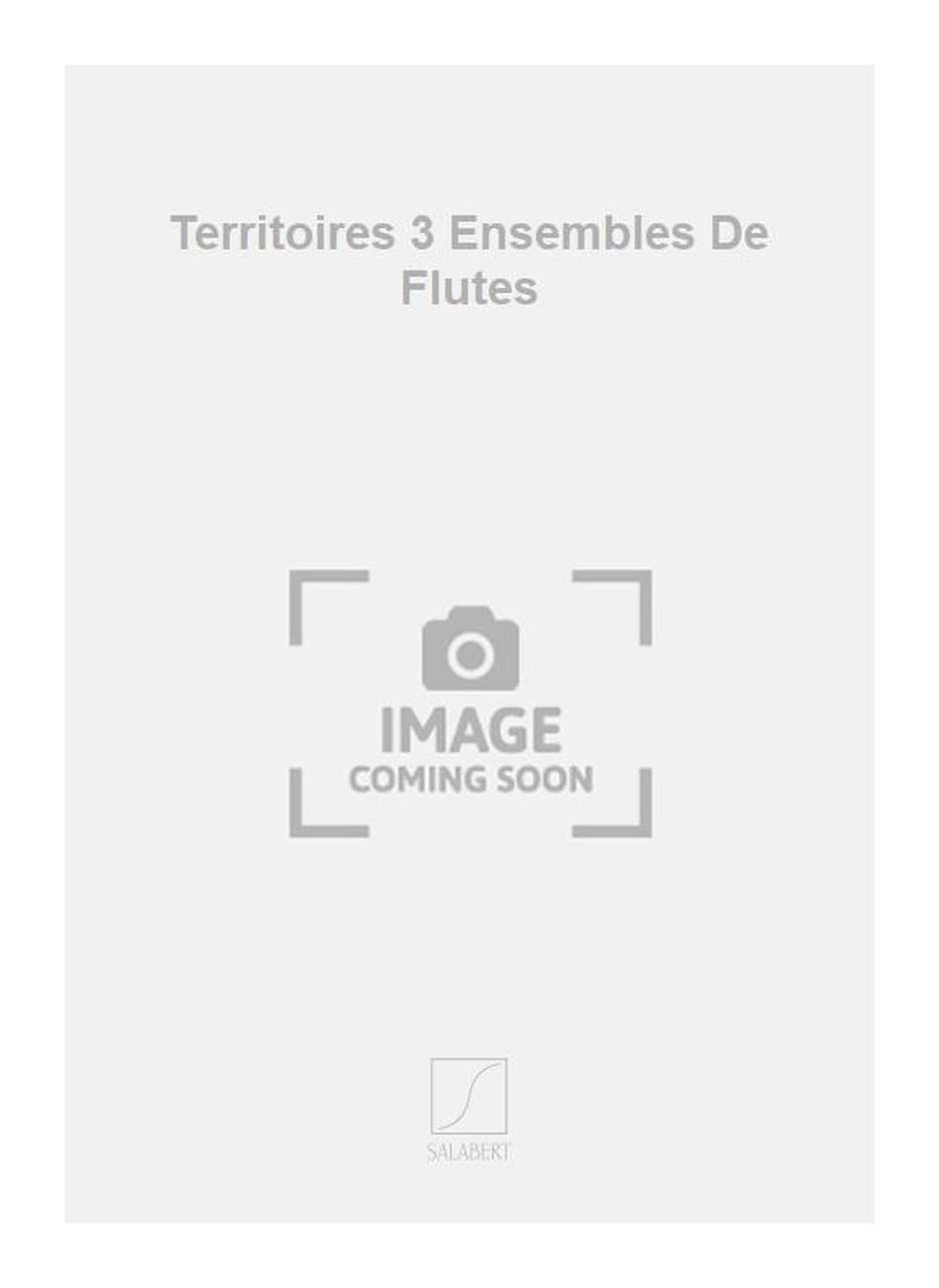 TERRITOIRES 3 ENSEMBLES DE FLUTES FLUTE TRAVERSIERE Sheet Music