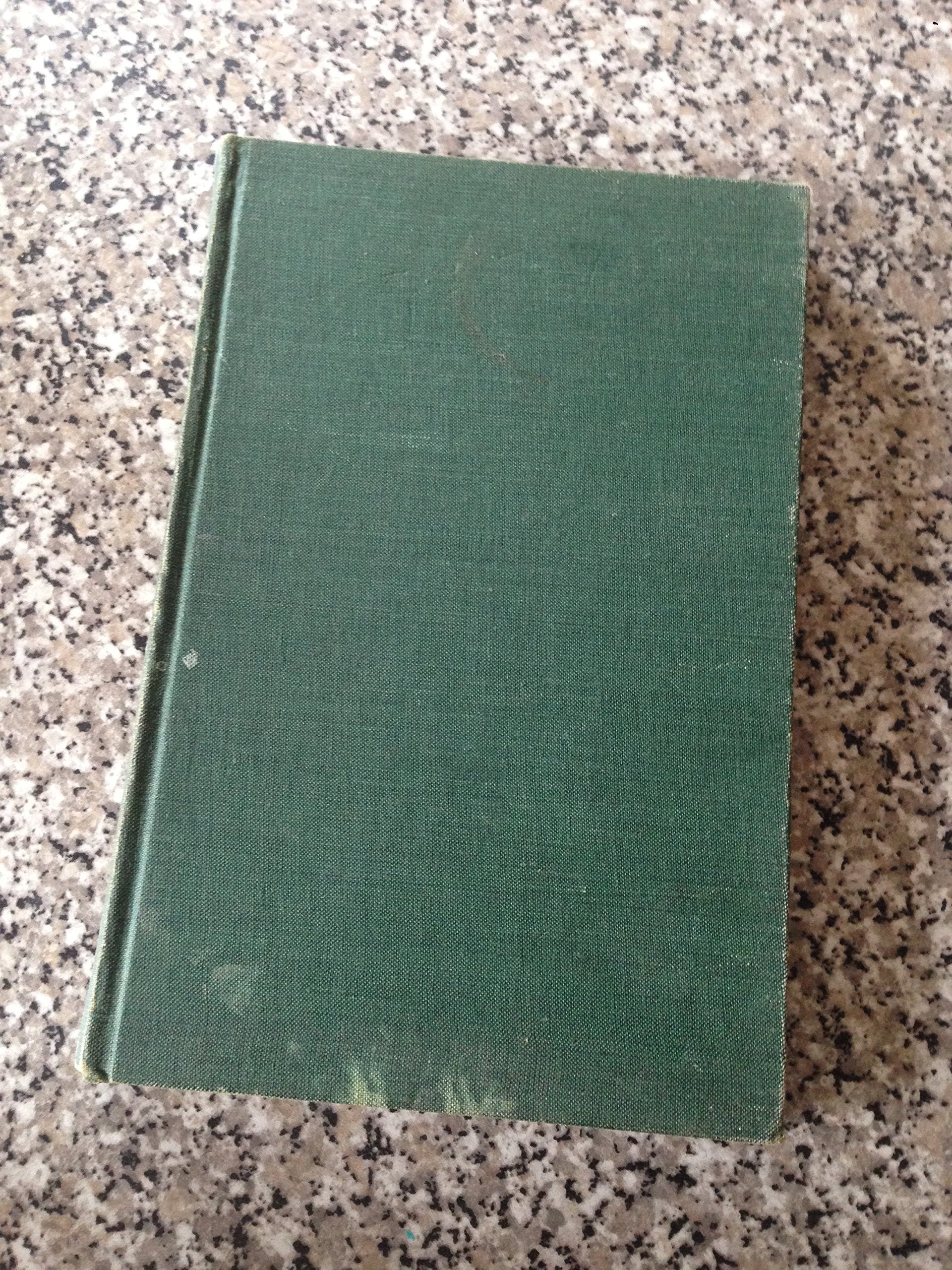 Sir Gawain and the Green Knight book