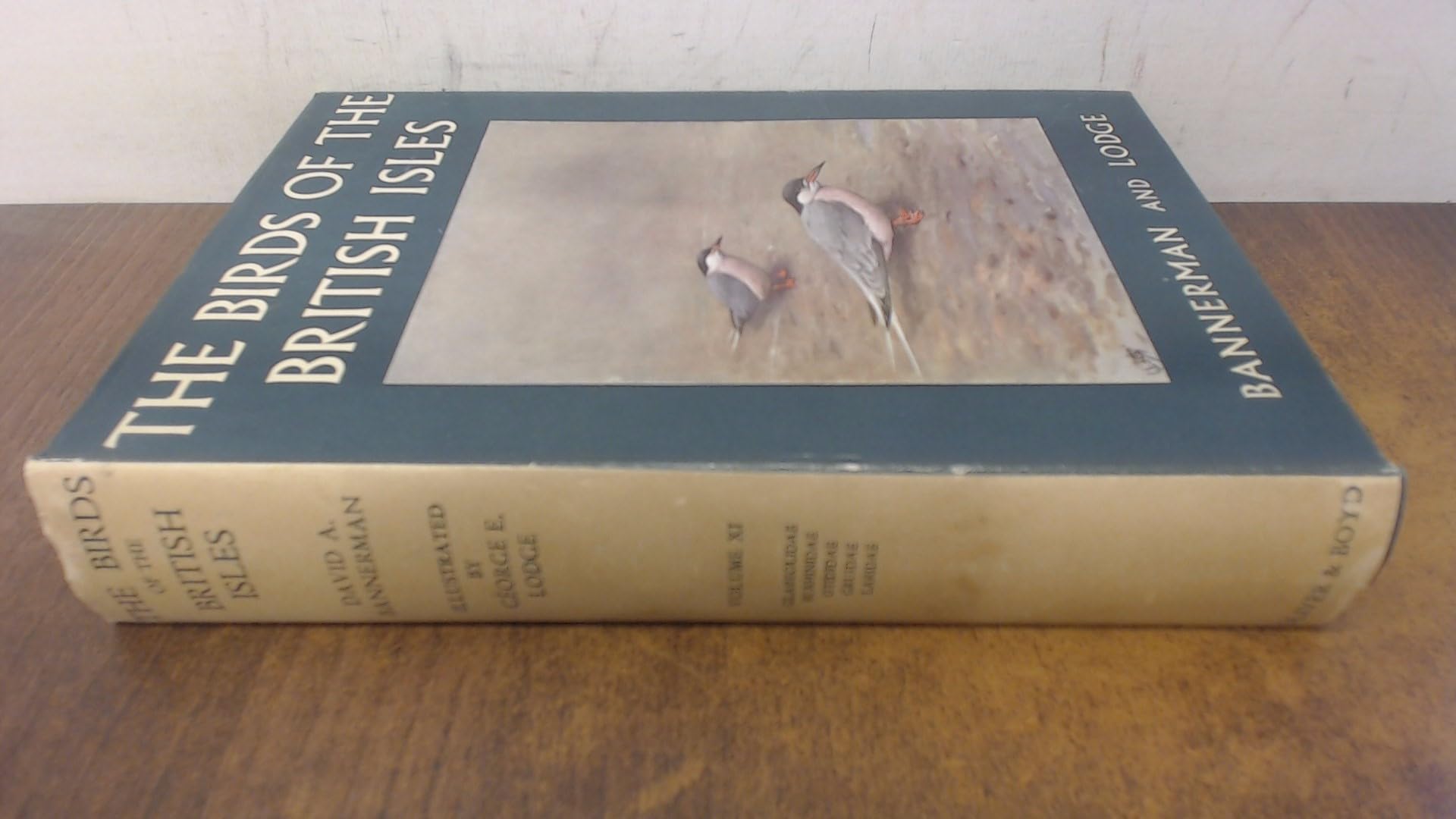 Birds of the British Isles: v. 11 book