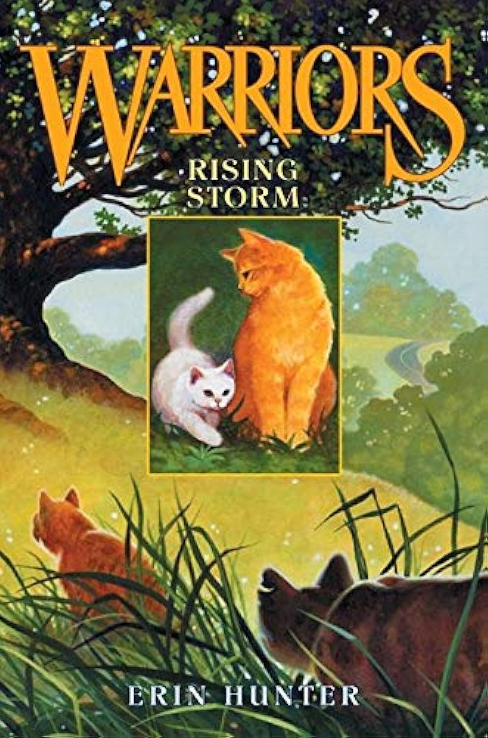 Warriors #4: Rising Storm (Warriors: The Prophecies Begin, 4) Non-fiction