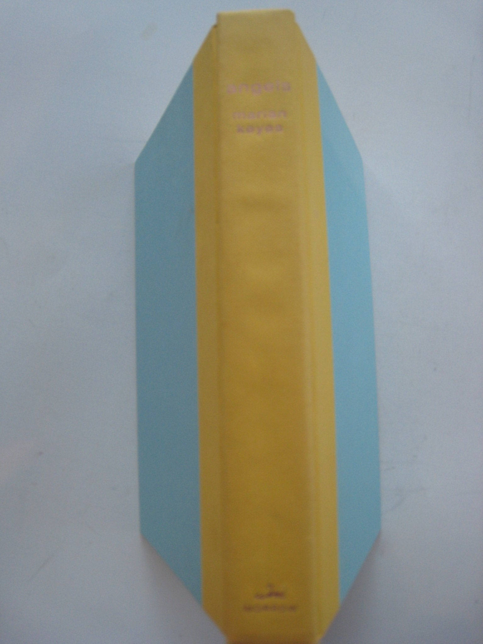 Angels Contemporary literature