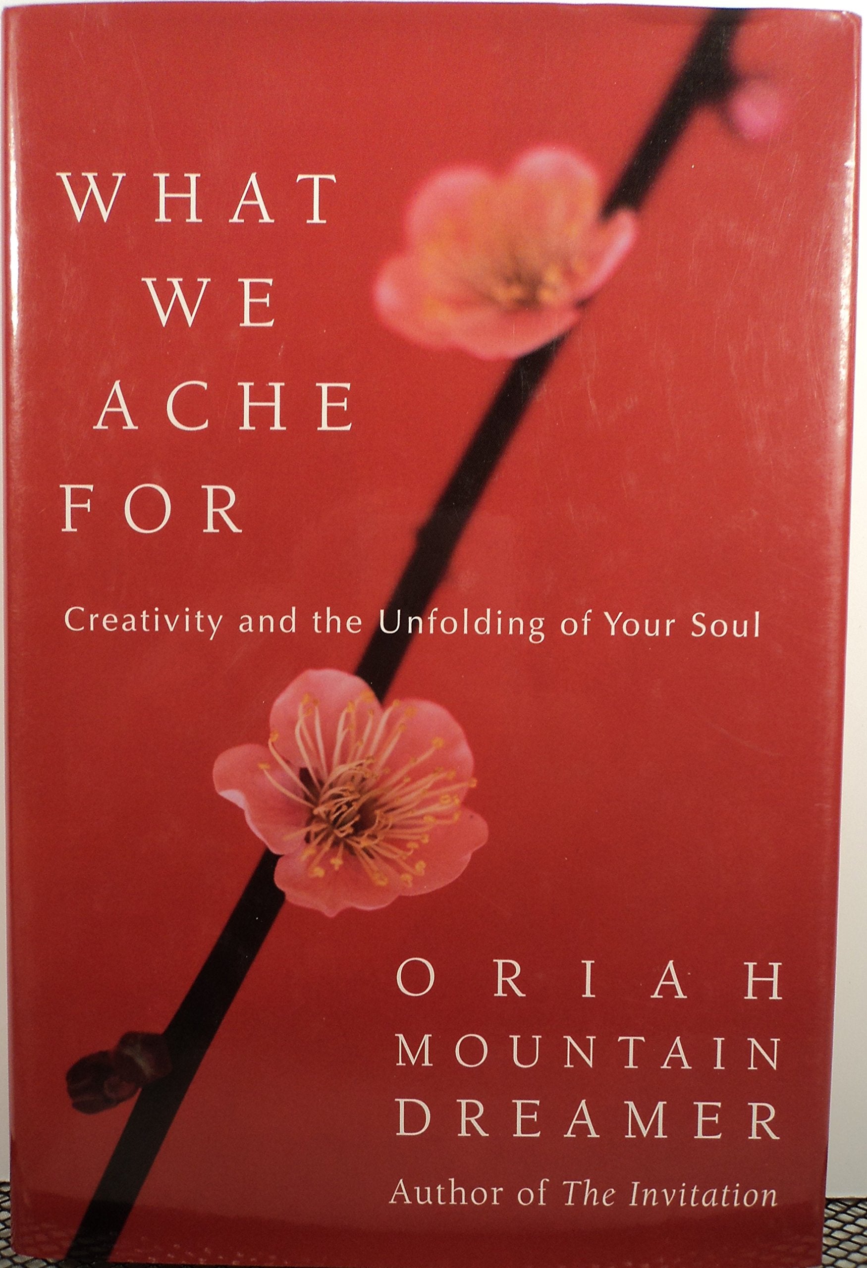 What We Ache For: Creativity and the Unfolding of Your Soul Business, Finance & Career