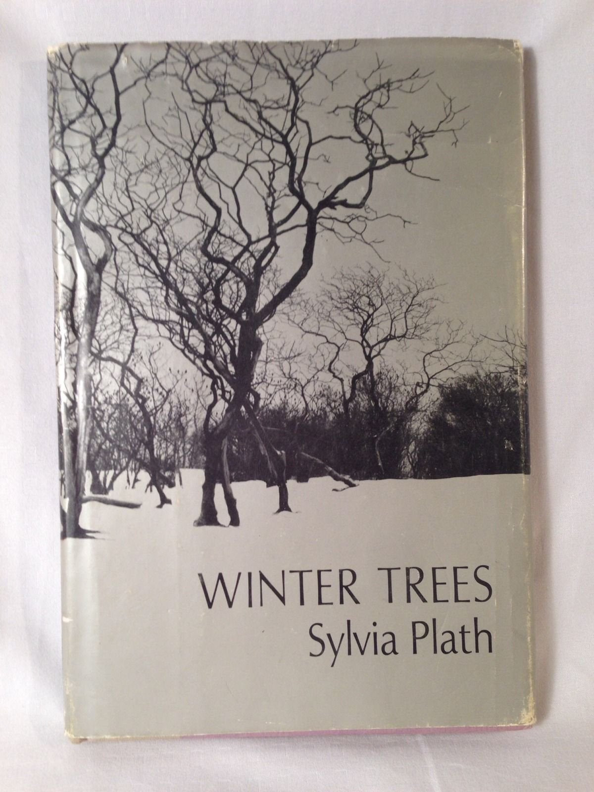 Winter Trees Poetry