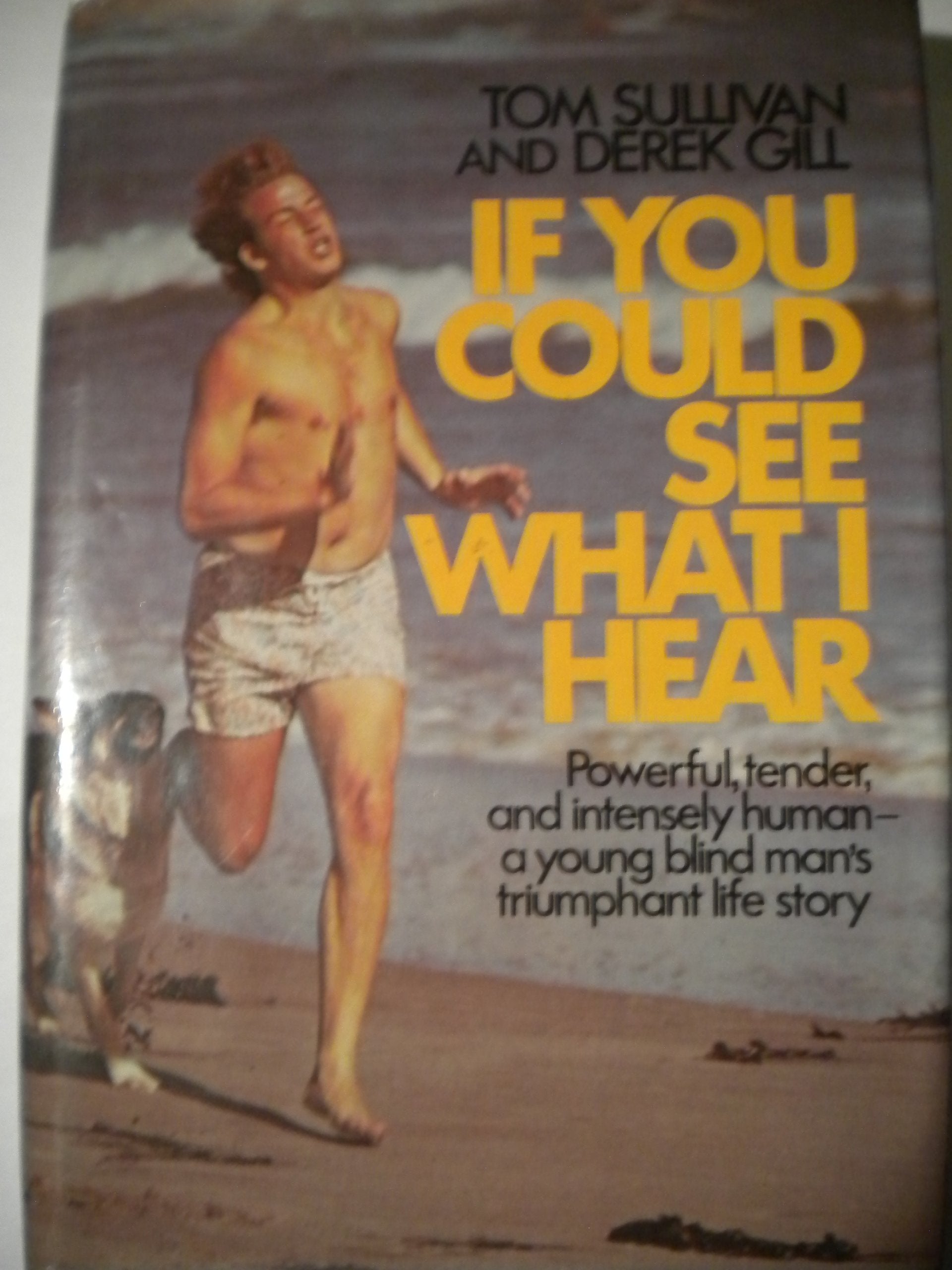 Product Image: If You Could See What I Hear