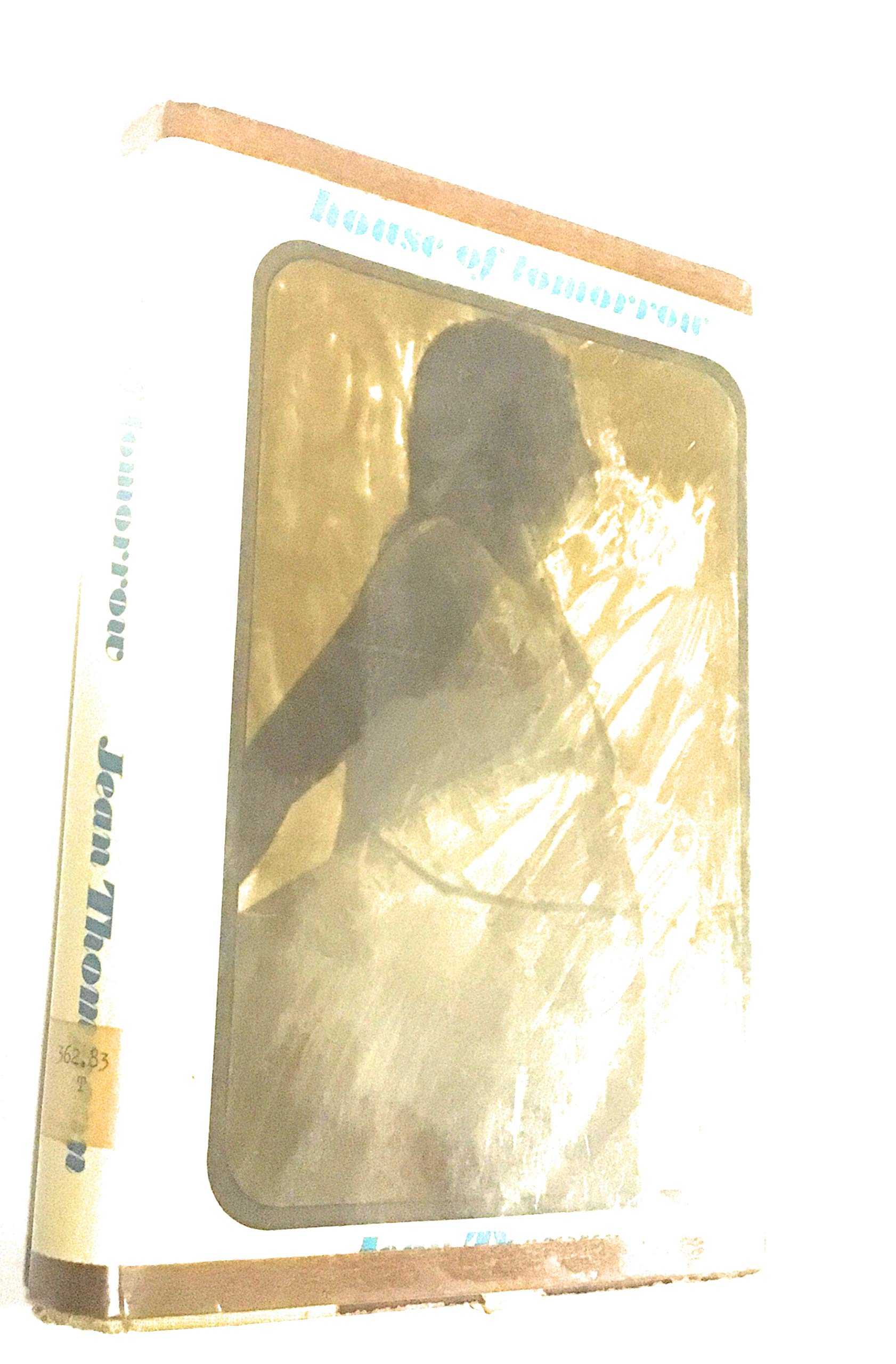 Product Image: House of Tomorrow