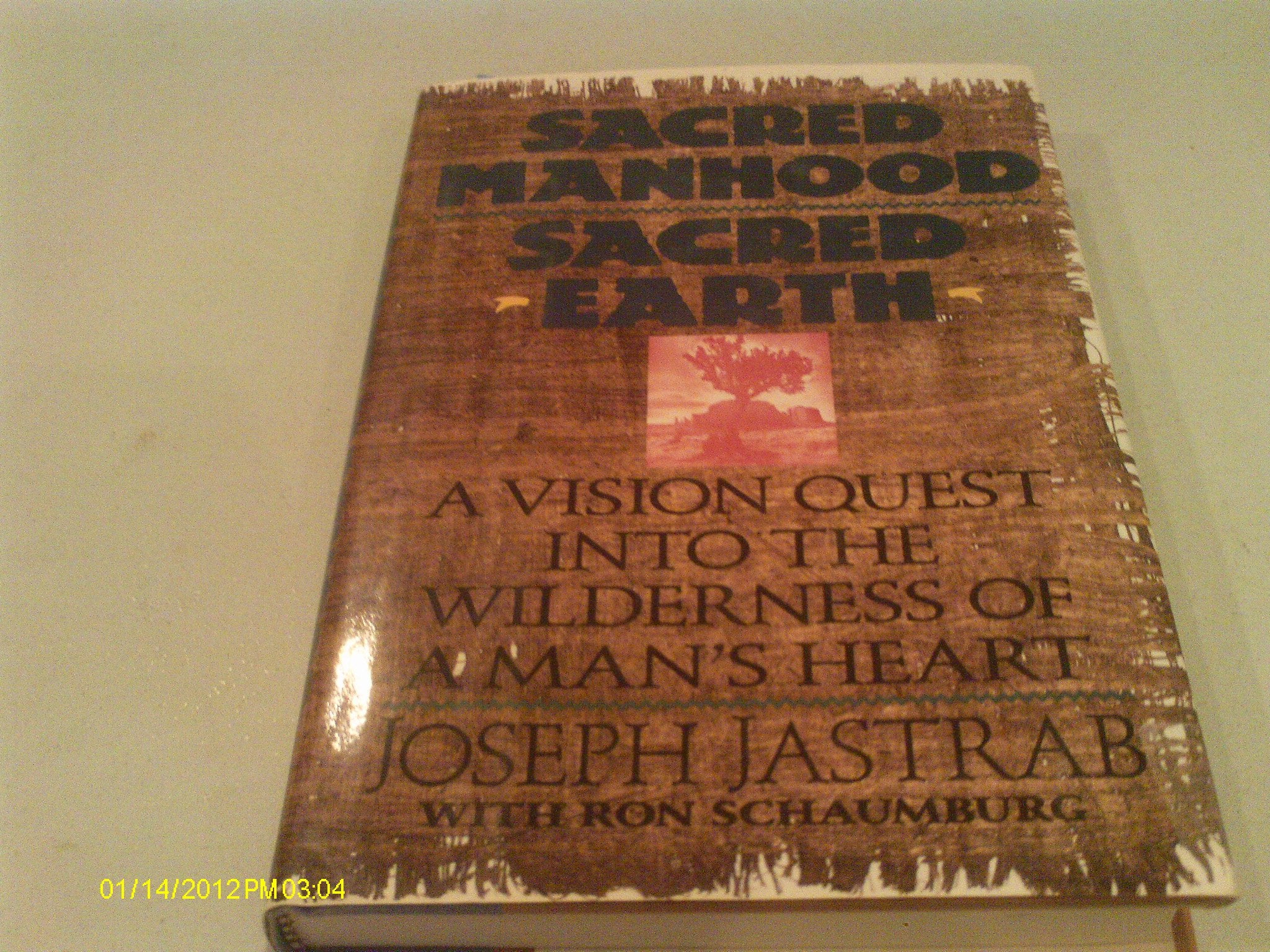 Sacred Manhood Sacred Earth: A Vision Quest into the Wilderness of a Man's Heart Social Sciences