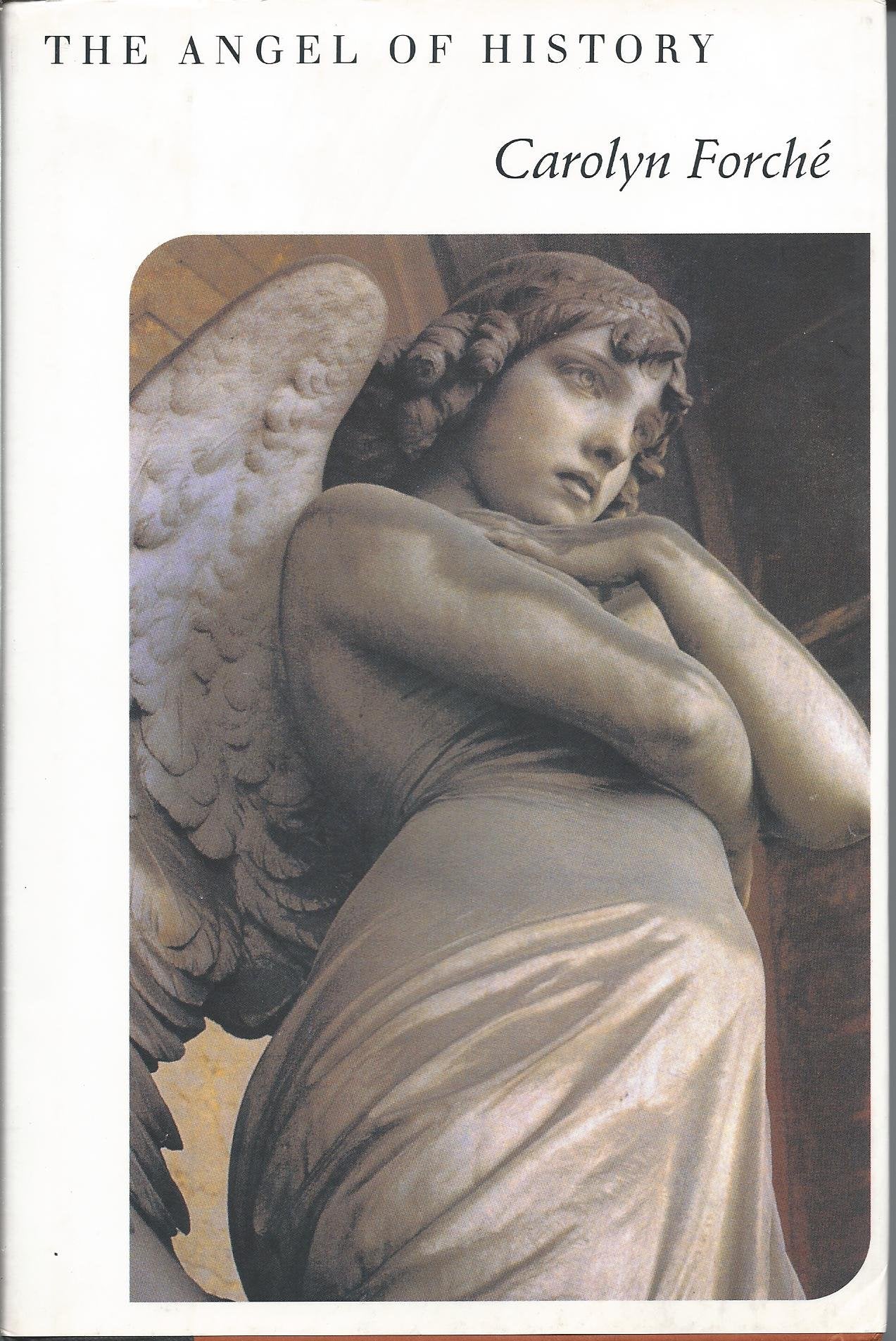 The Angel of History Poetry