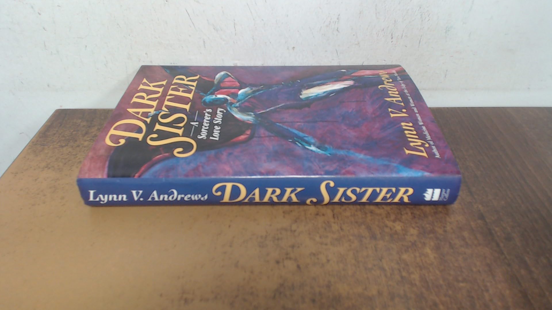 Dark Sister: A Sorcerer's Love Story Politics & Society