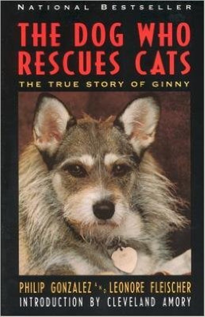 The Dog Who Rescues Cats: The True Story of Ginny Mathematics