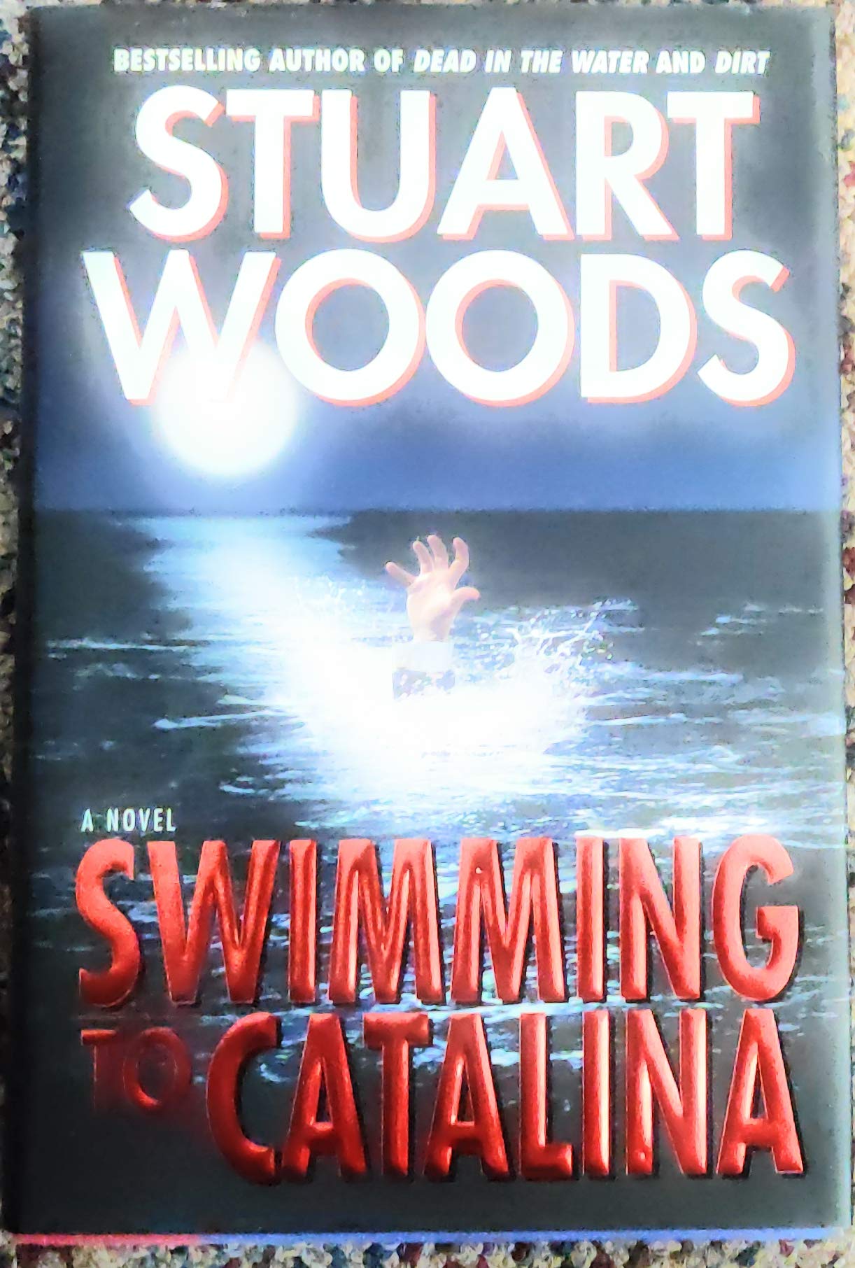 Swimming to Catalina: A Novel Contemporary literature