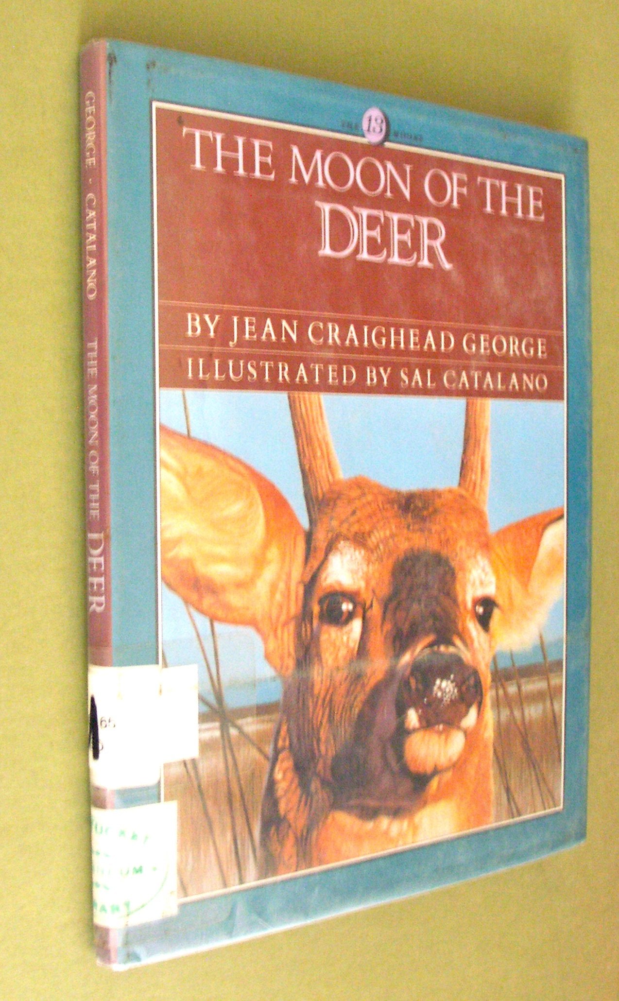 The Moon of the Deer book