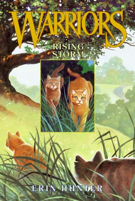 Warriors #4: Rising Storm (Warriors: The Prophecies Begin, Band 4) Self-help