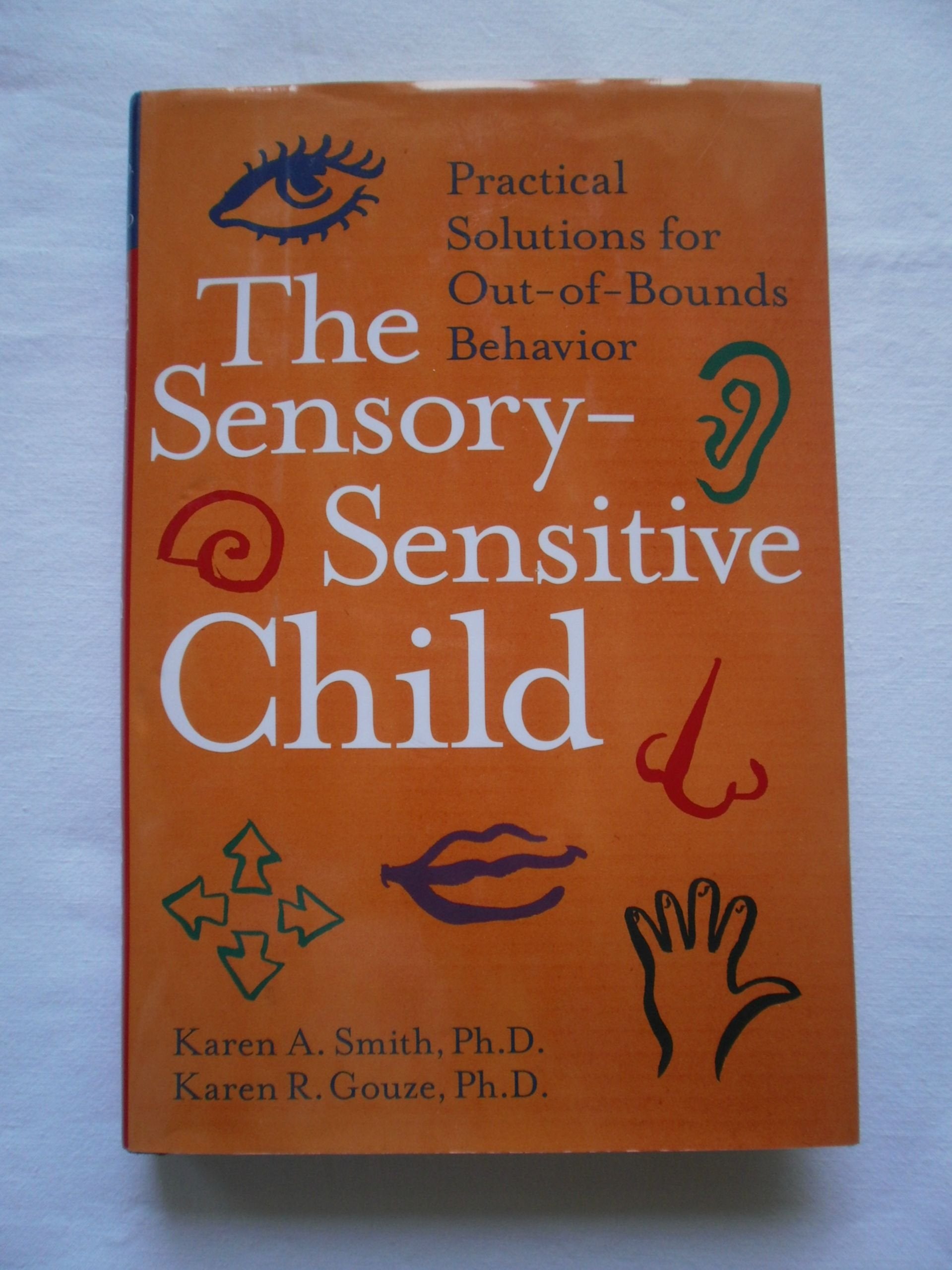 The Sensory-Sensitive Child: Practical Solutions for Out-of-Bounds Behavior Psychology