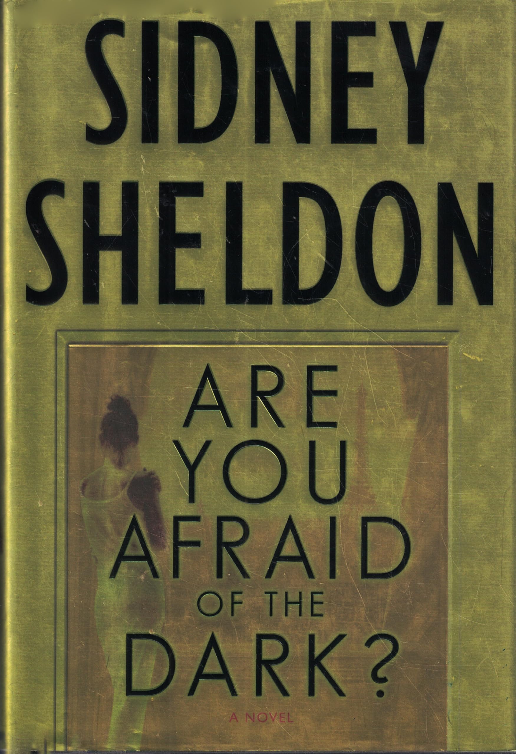 Are You Afraid of the Dark?: A Novel Contemporary literature