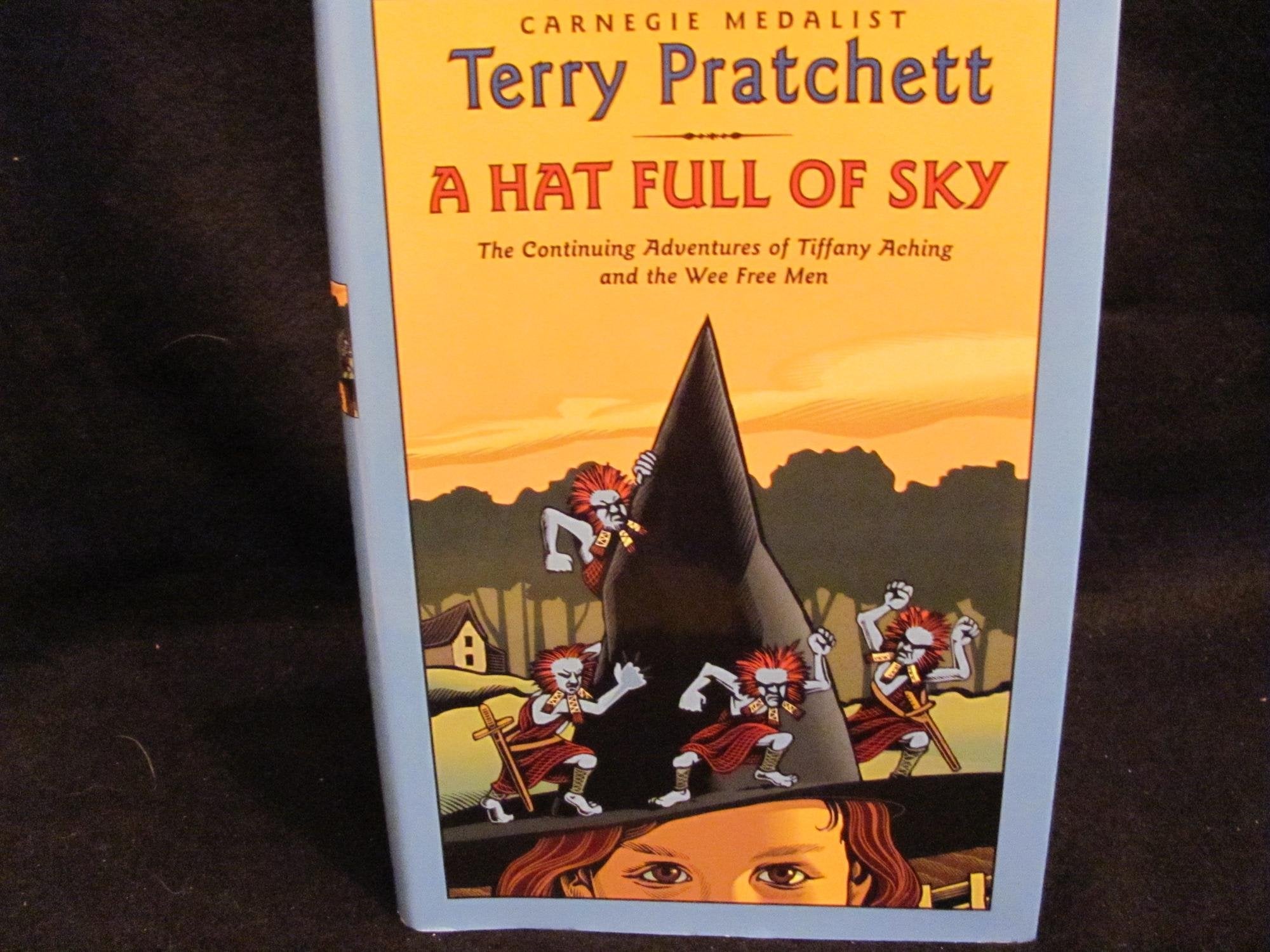 Product Image: A Hat Full of Sky