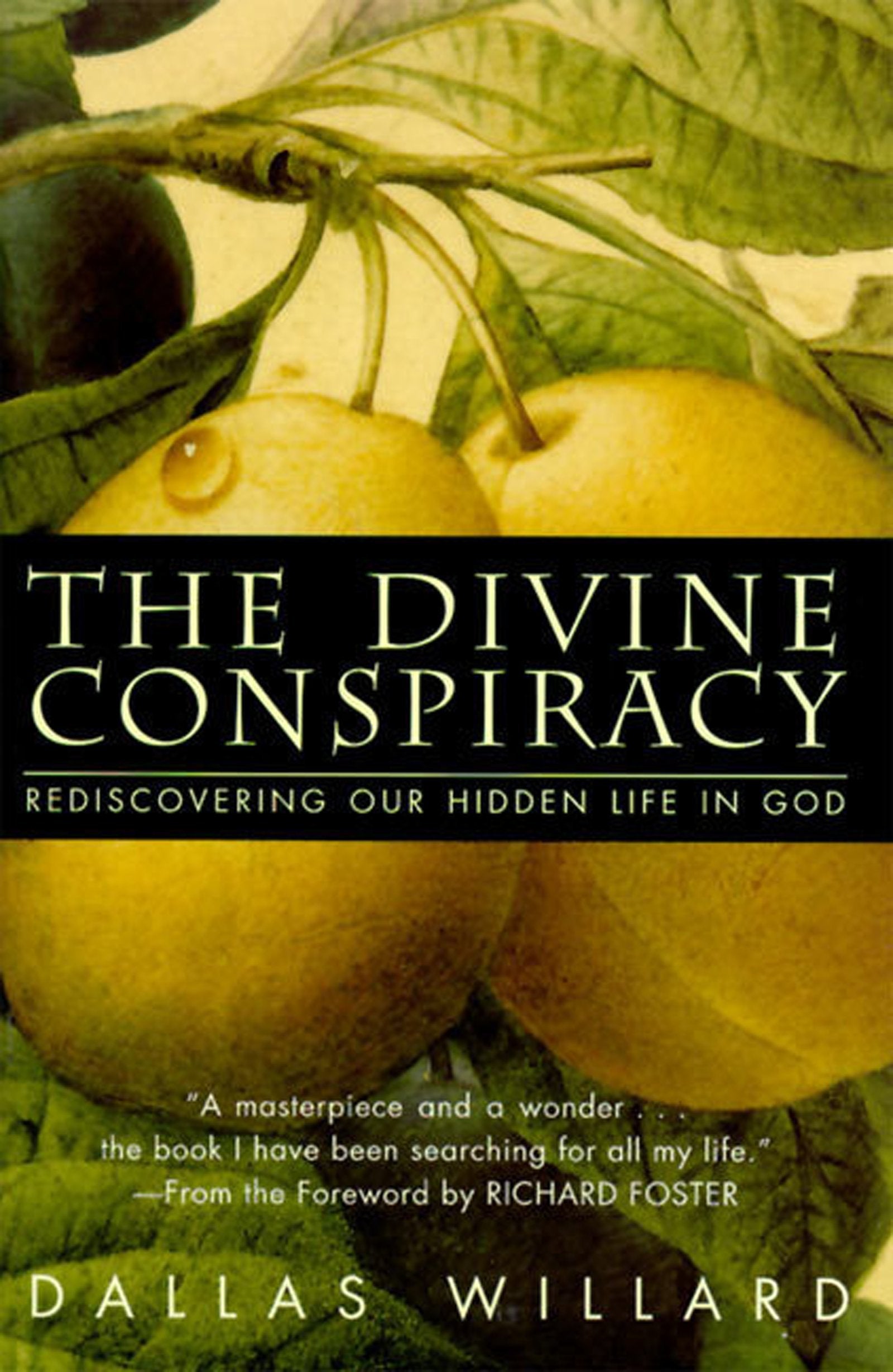 The Divine Conspiracy: Rediscovering Our Hidden Life In God Religion & Esotericism