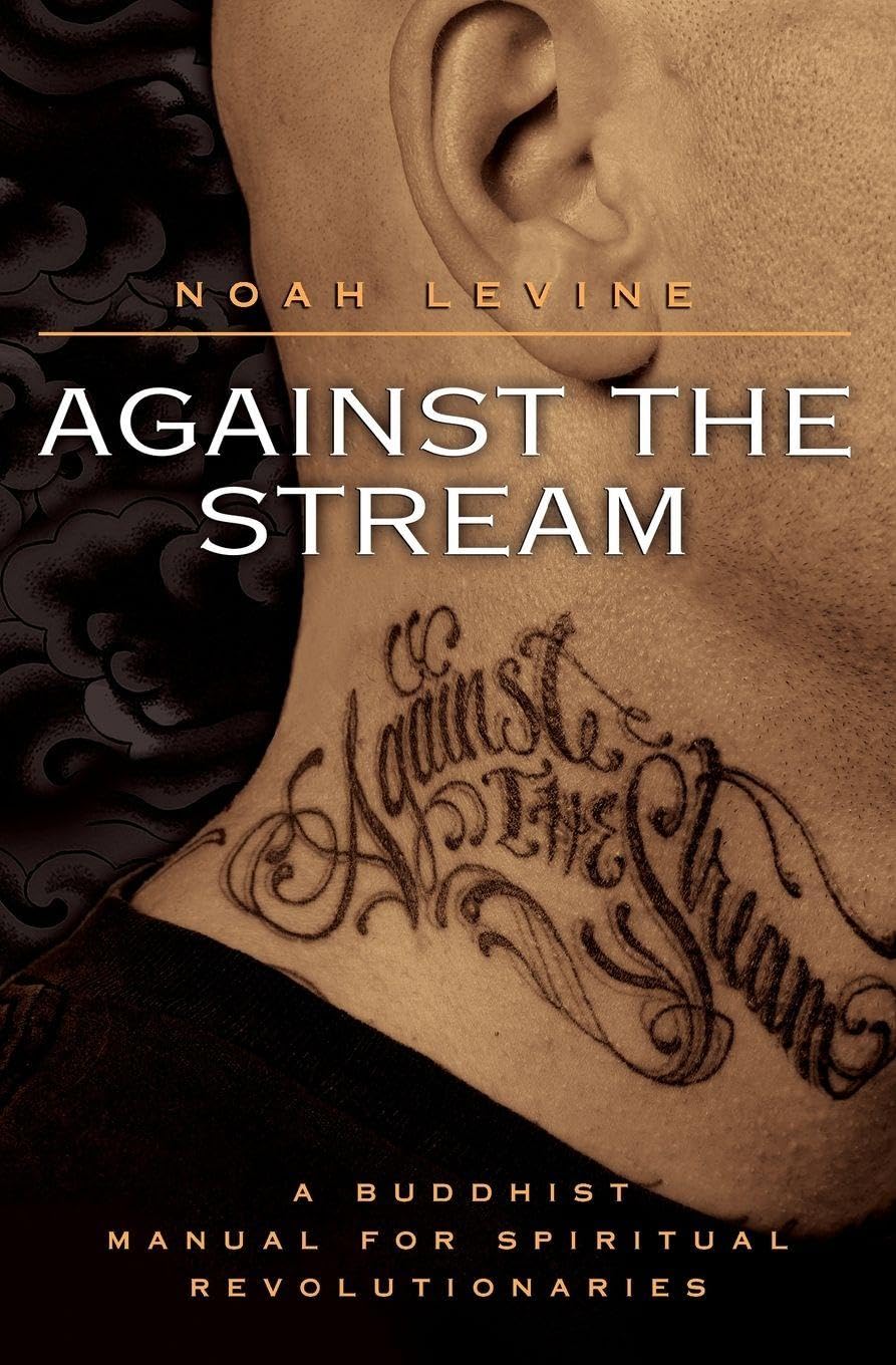 Against the Stream: A Buddhist Manual for Spiritual Revolutionaries Philosophy