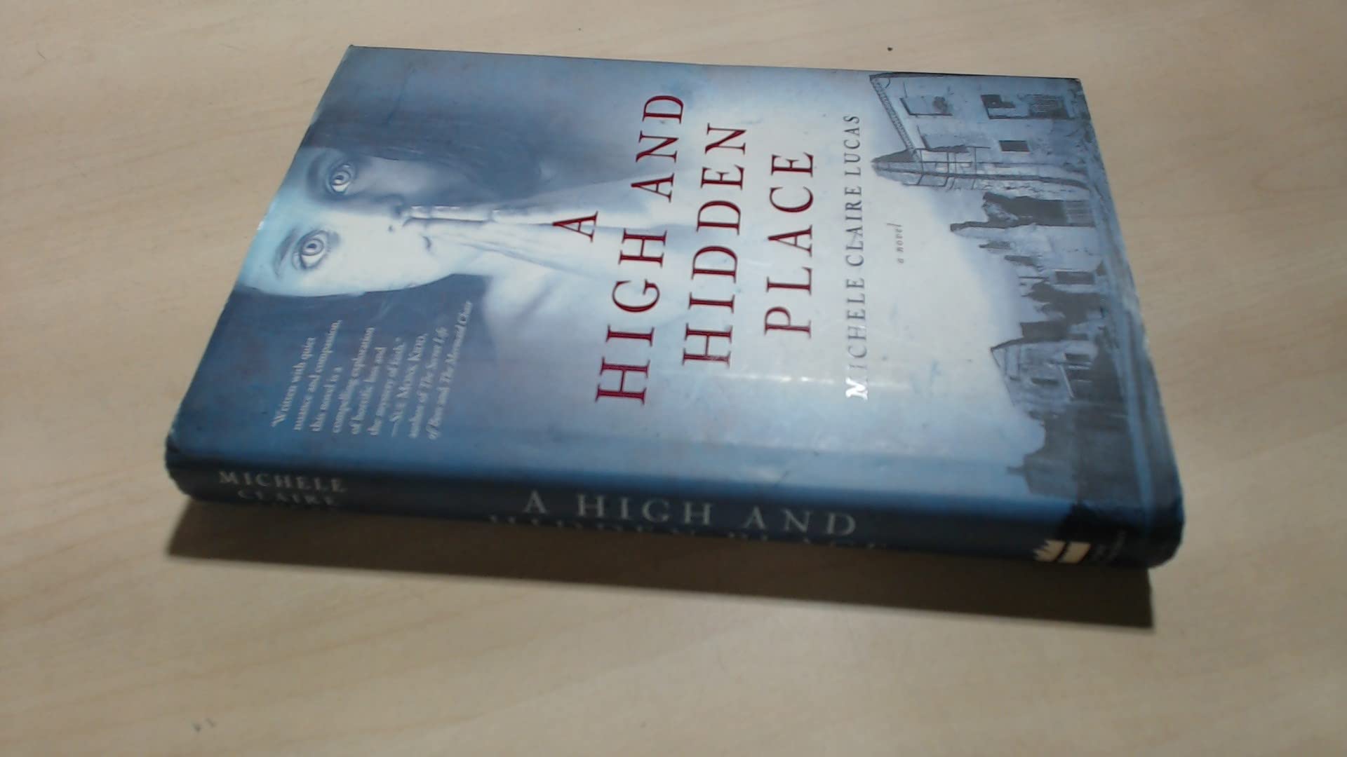 A High and Hidden Place: A Novel Contemporary literature