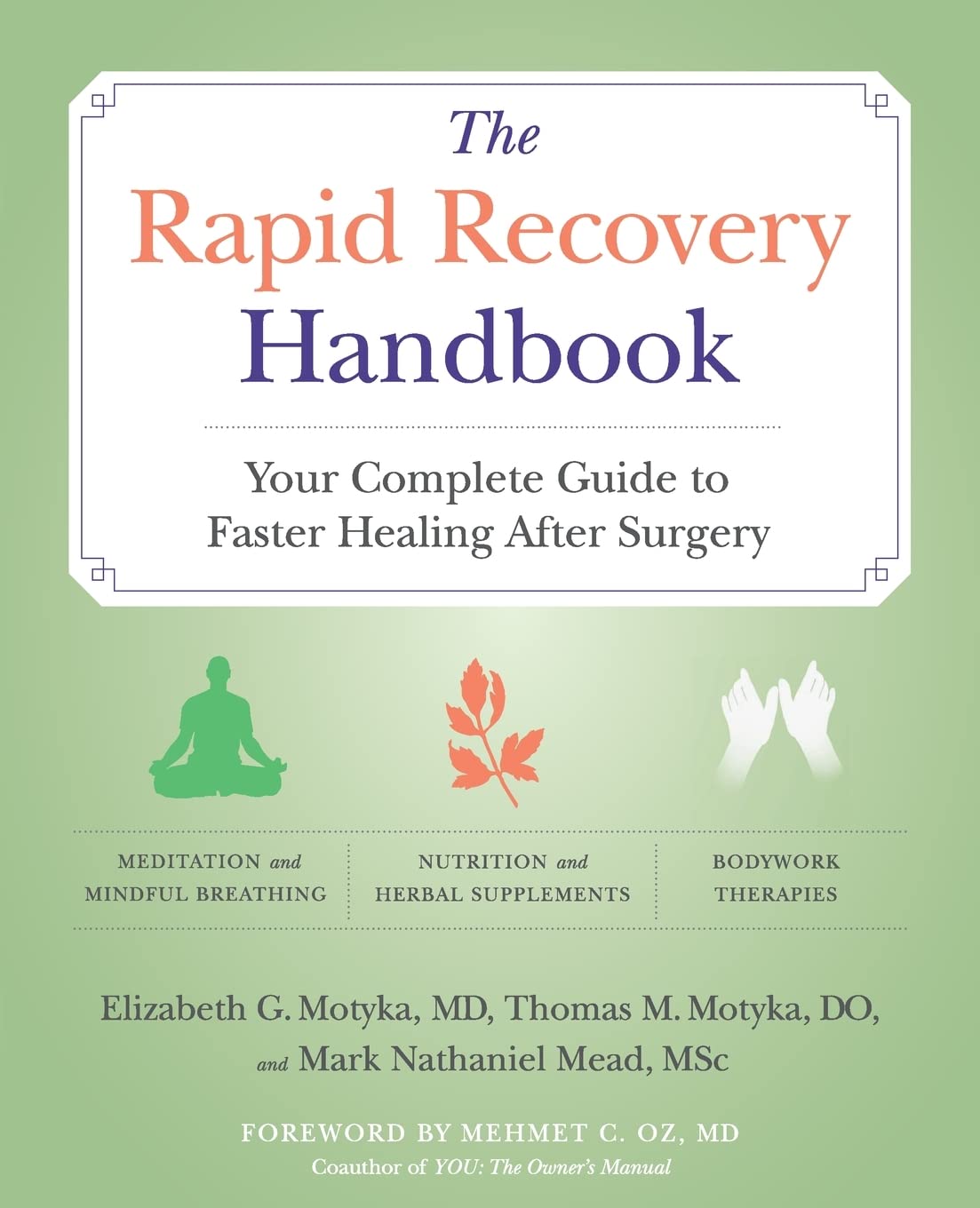 The Rapid Recovery Handbook book