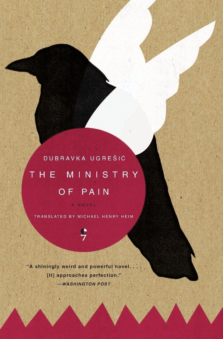 The Ministry of Pain Contemporary literature