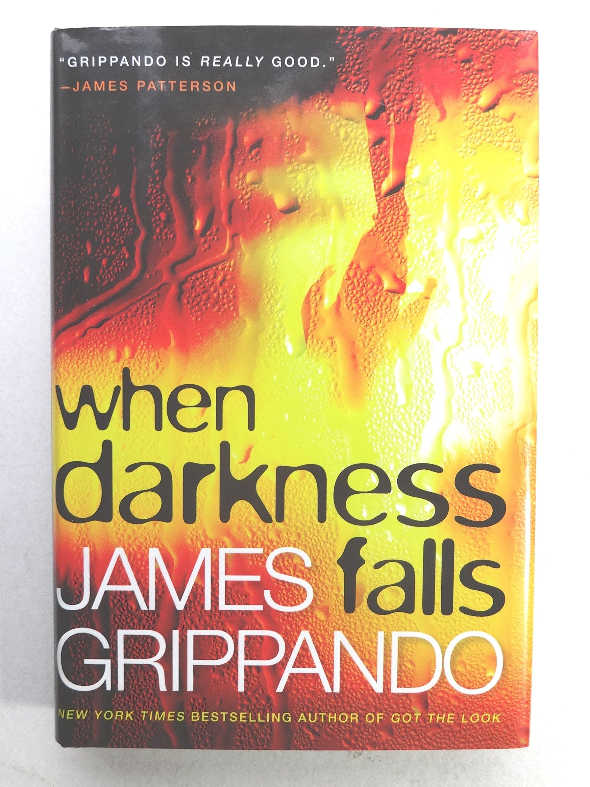 When Darkness Falls (Jack Swyteck Novel) Action & Adventure
