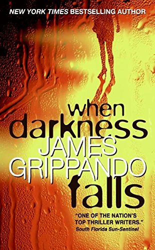 When Darkness Falls (Jack Swyteck Novel) Action & Adventure