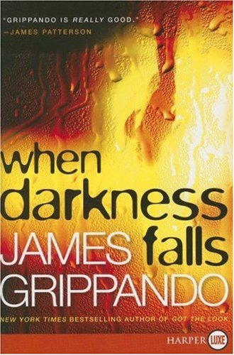When Darkness Falls (Jack Swyteck Novel, 6, Band 6) Action & Adventure