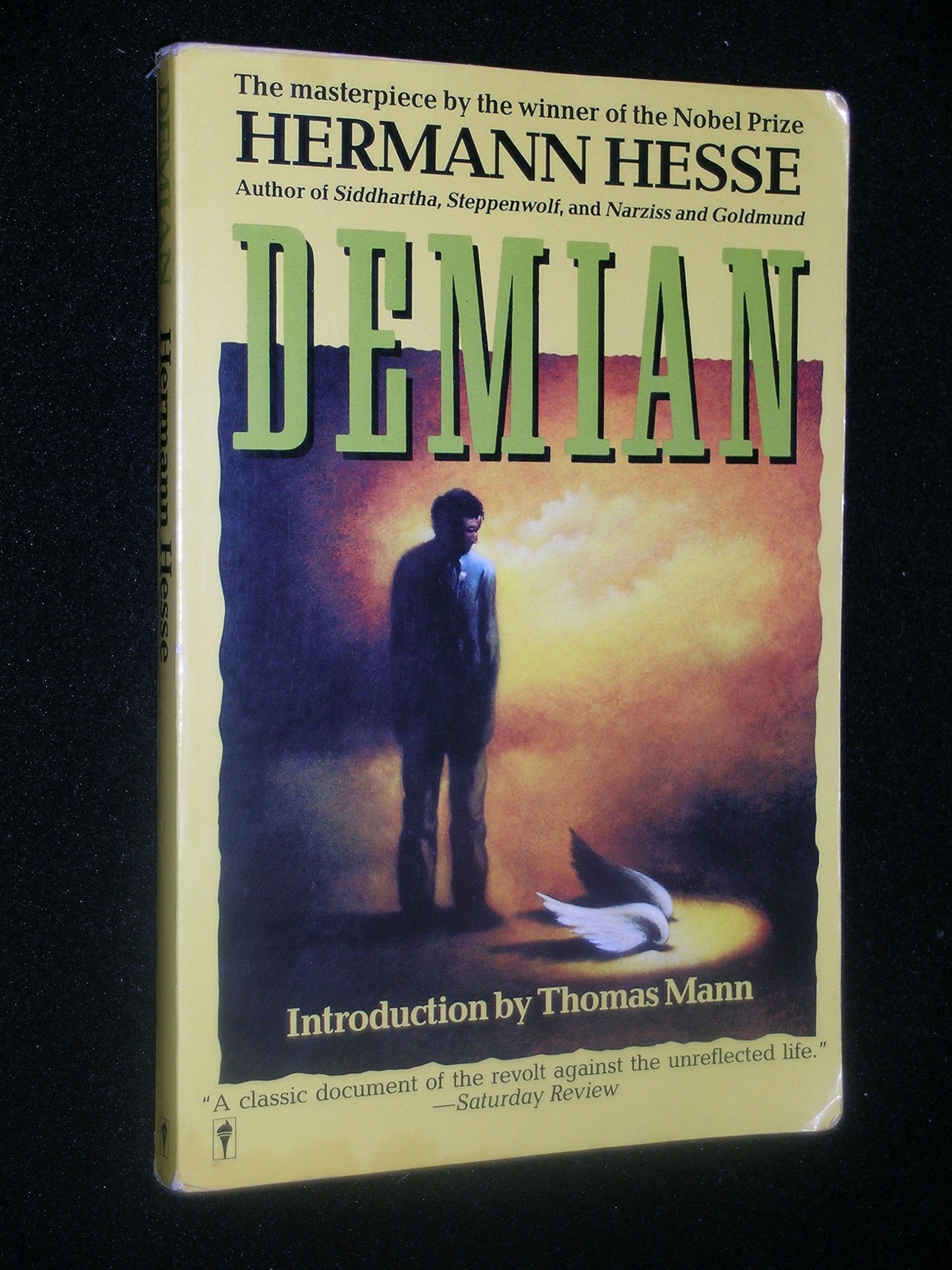 Demian: The Story of Emil Sinclair's Youth book