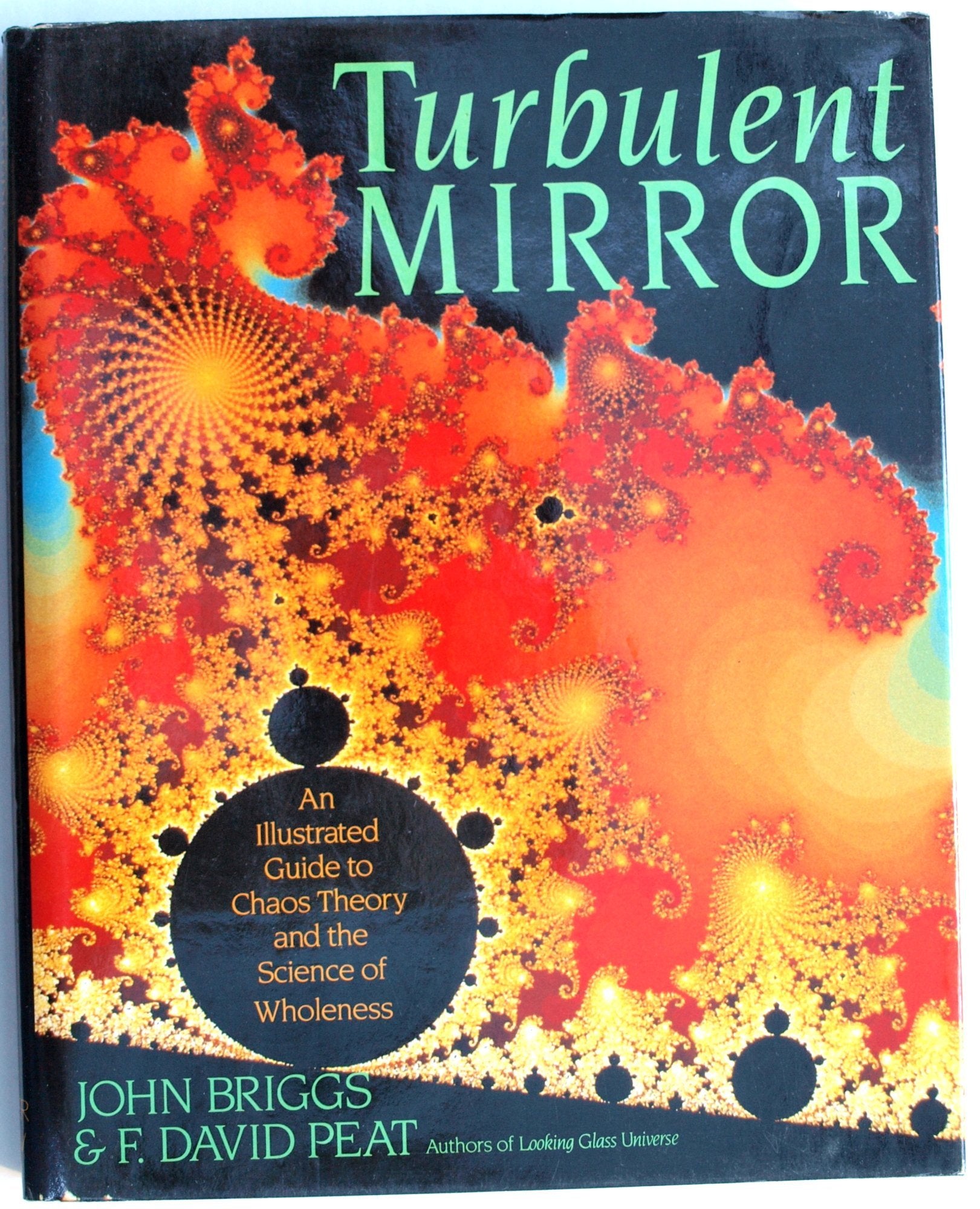 Turbulent Mirror: An Illustrated Guide to Chaos Theory and the Science of Wholeness Natural Sciences