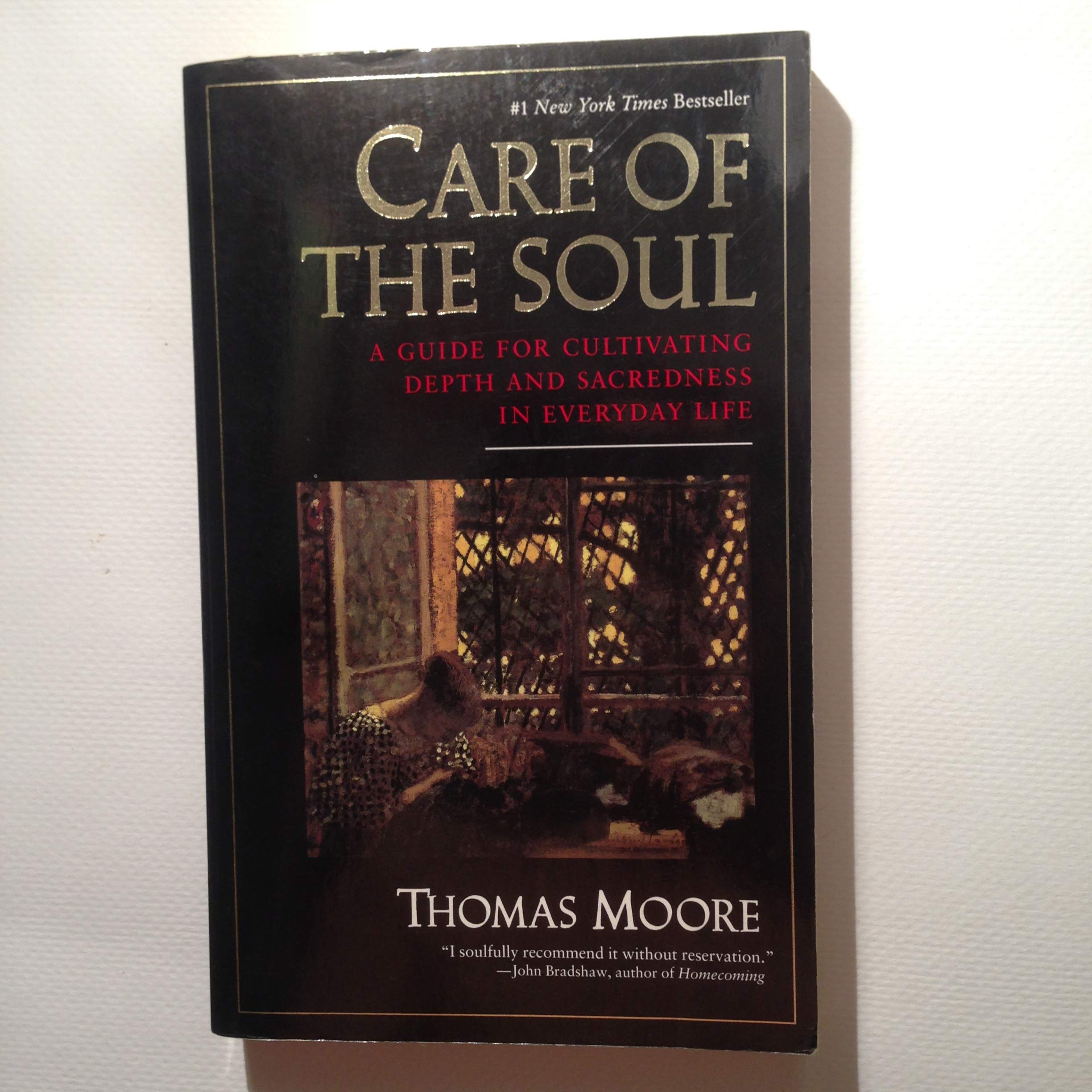Care of the Soul : A Guide for Cultivating Depth and Sacredness in Everyday Life Religion & Esotericism
