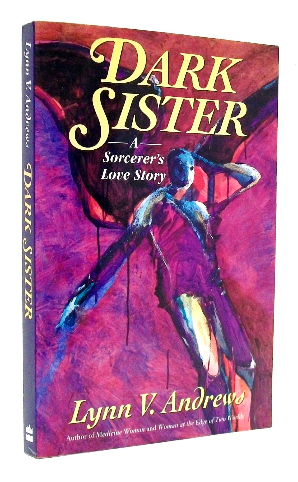 Dark Sister: A Sorcerer's Love Story book