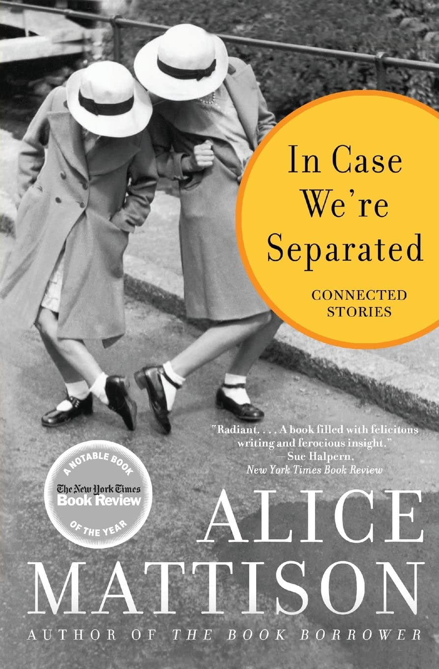 In Case We're Separated: Connected Stories: A Masterful Jewish Immigrant Family Saga Spanning Three Generations in Twentieth Century Urban America LGBTQ+