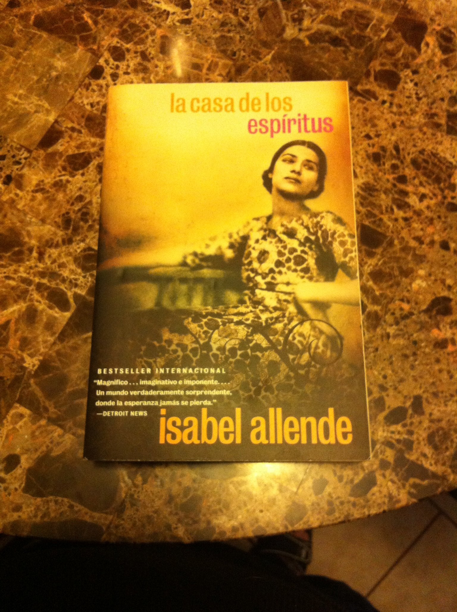 La Casa de Los Espiritus Historical Fiction