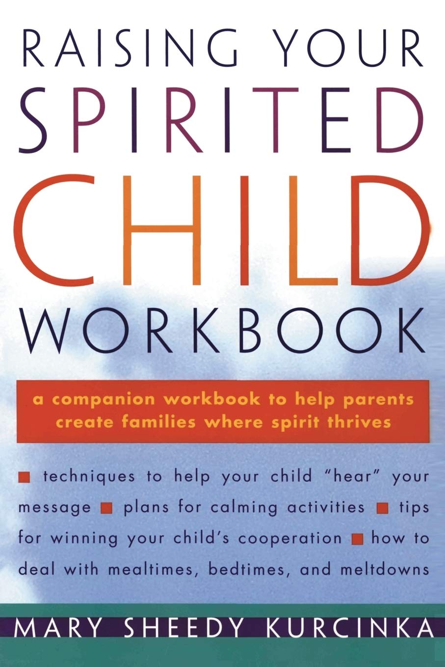 Raising Your Spirited Child Workbook Social Sciences