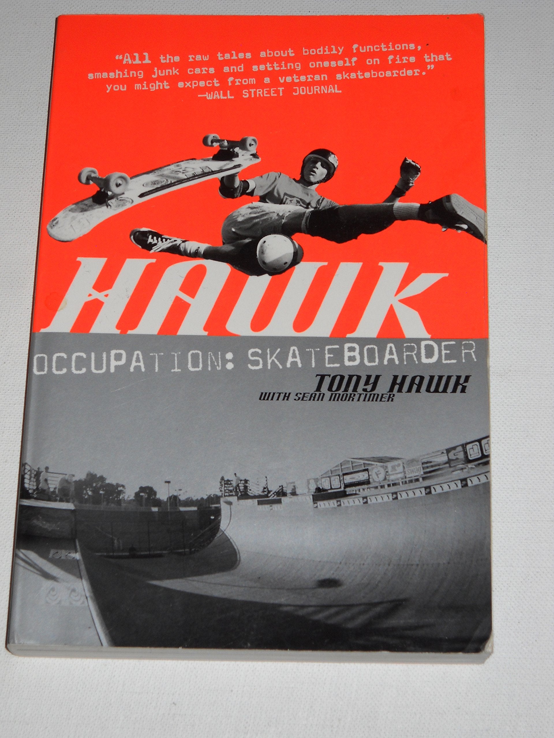 Hawk Art & Literature