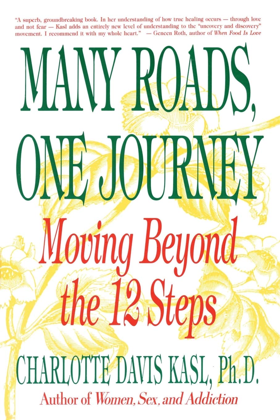 Many Roads, One Journey: Moving Beyond the Twelve Steps book