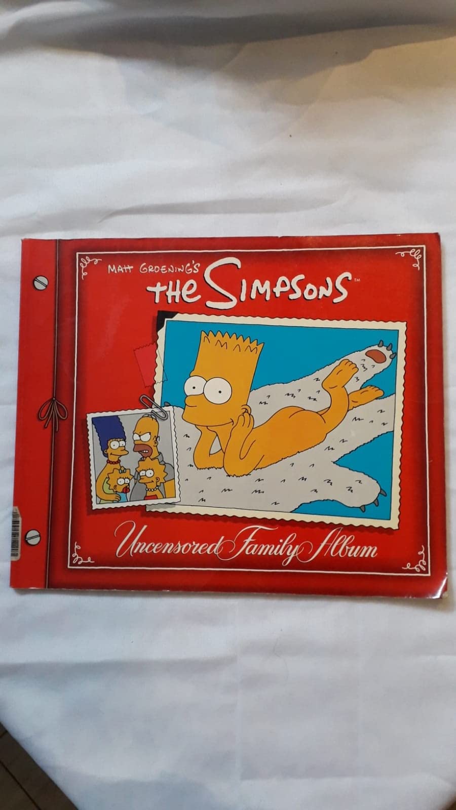 Simpsons Uncensored Family Album, The Film, Art & Culture