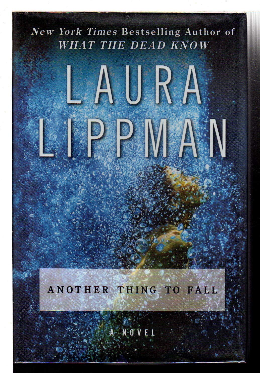 Another Thing to Fall: A Novel (Tess Monaghan Novel, 10, Band 10) Historical Fiction