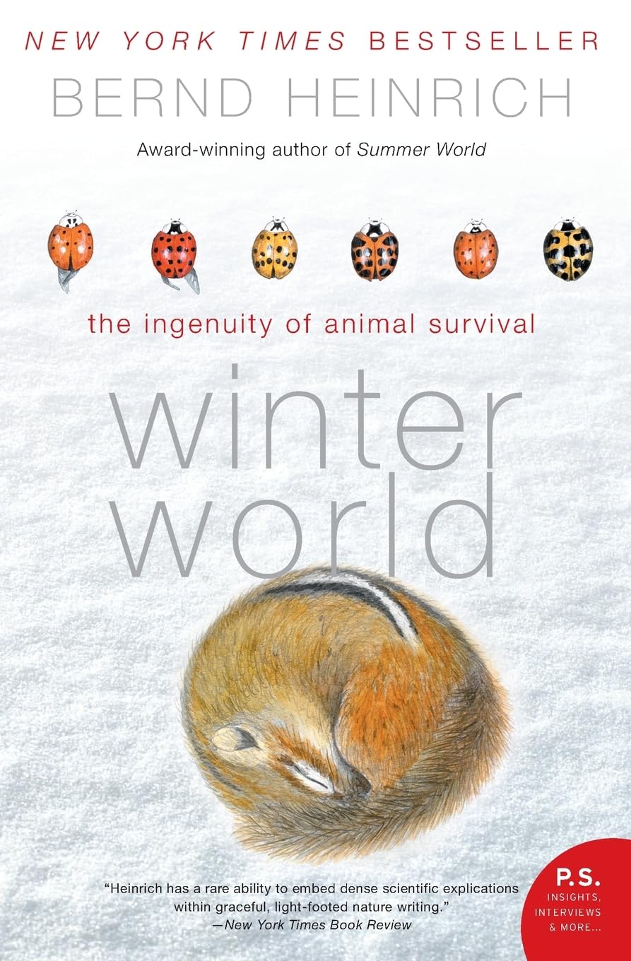 Product Image: Winter World