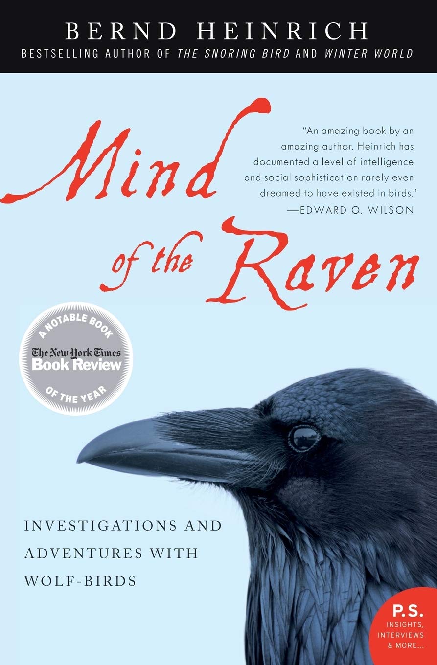 Product Image: Mind of the Raven