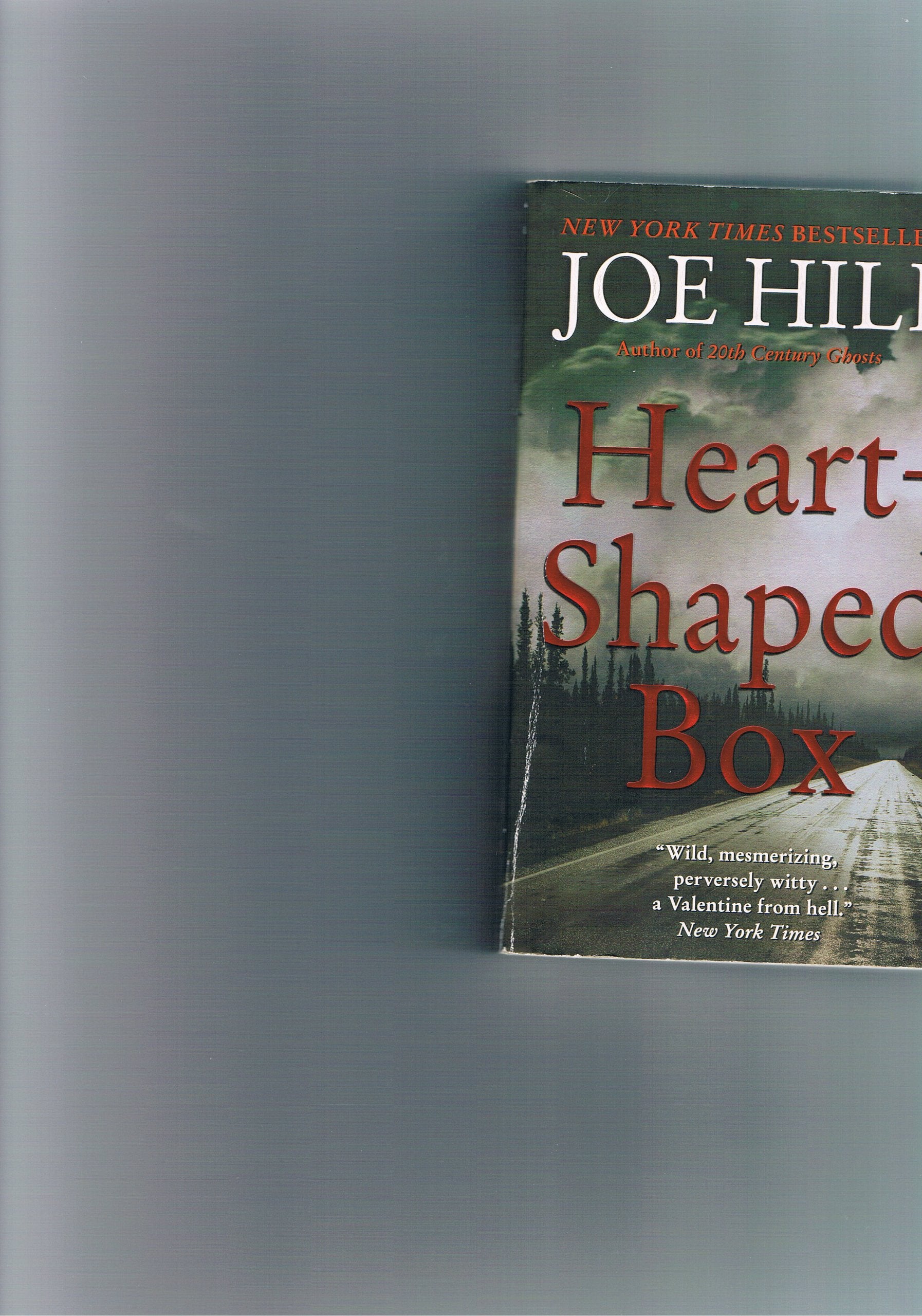 Heart-Shaped Box: A Novel Contemporary literature Books