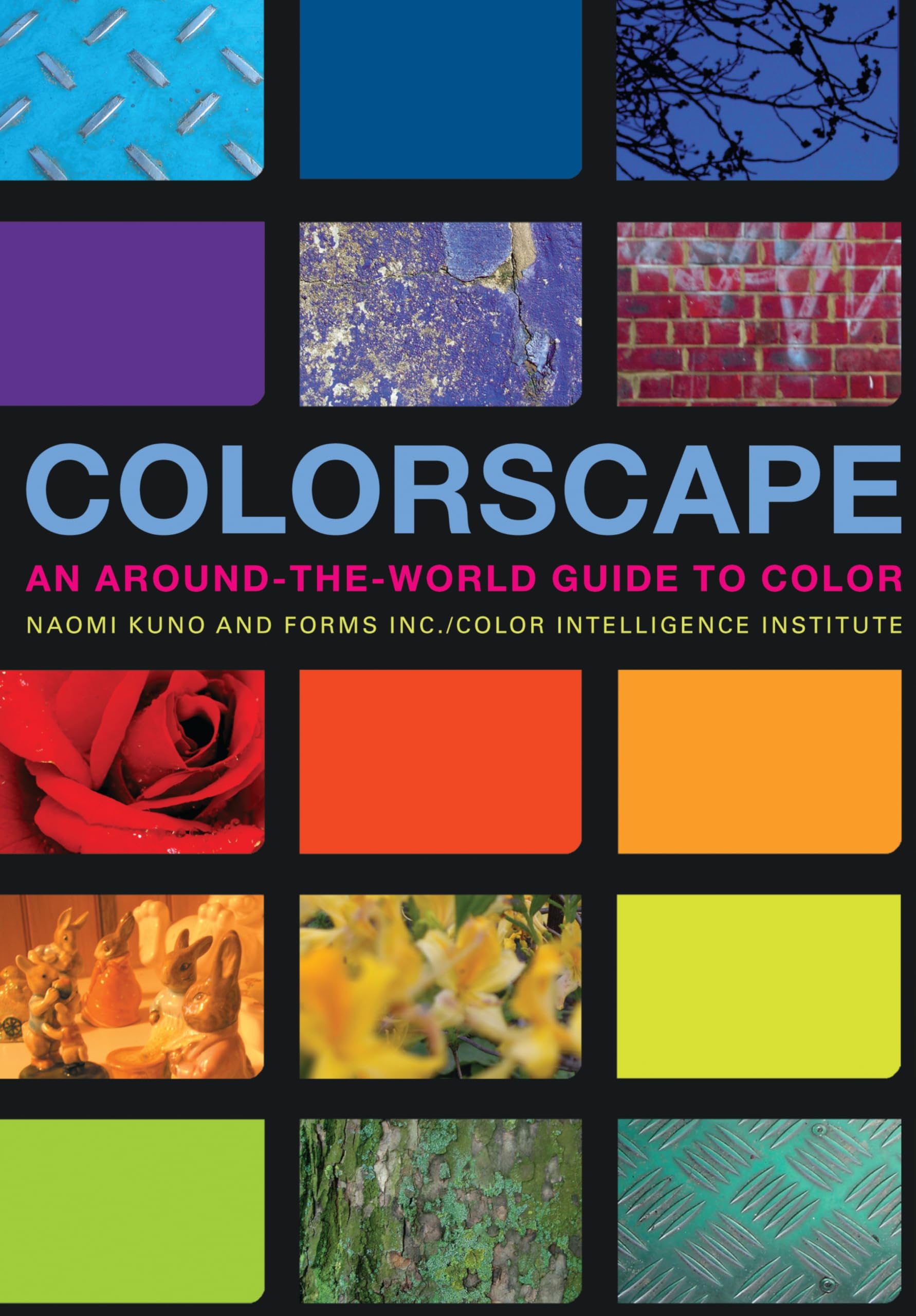 Colorscape: An Around-The-World Guide to Color book