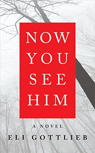 Product Image: Now You See Him: A Novel