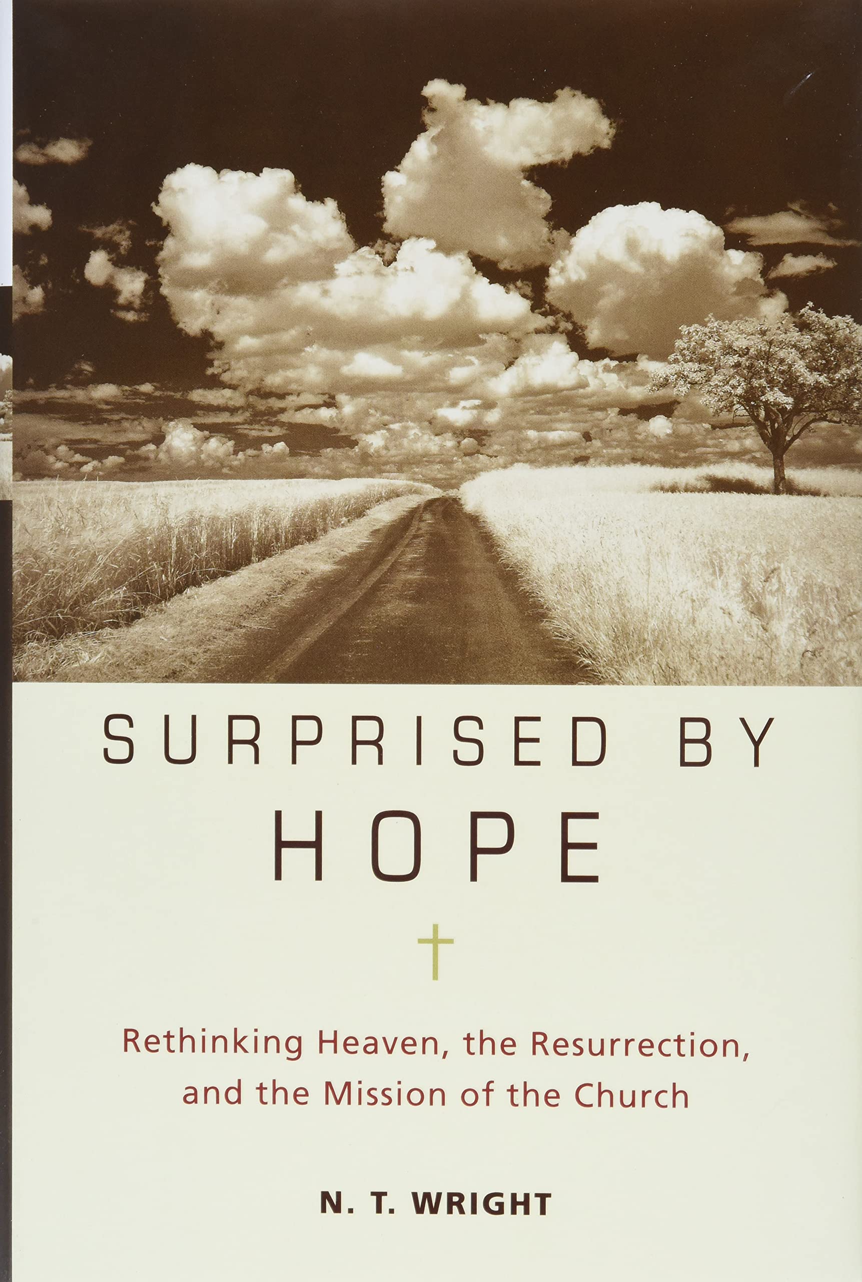 Surprised by Hope: Rethinking Heaven, the Resurrection, and the Mission of the Church Philosophy